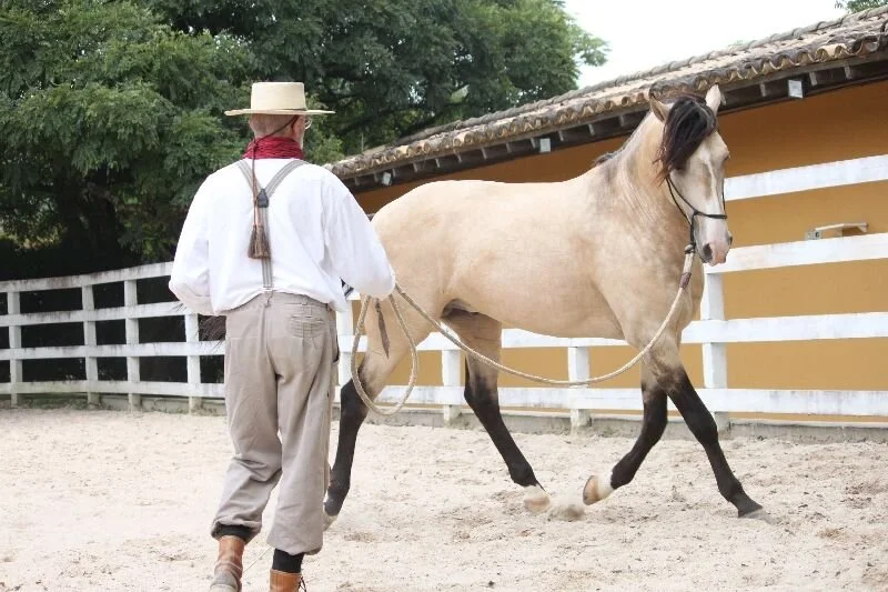 3937 Baltschieder (CH) - Gymnastizierung am Boden