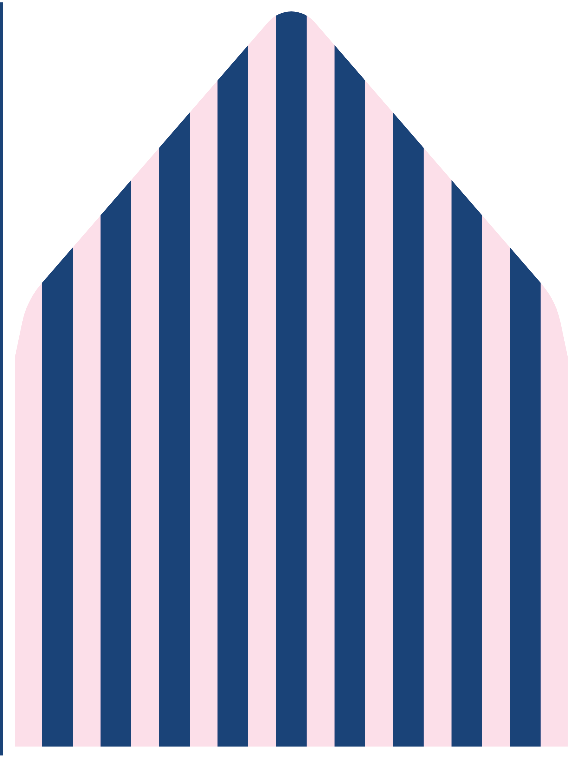 PINK NAVYCABANA_LINER.png