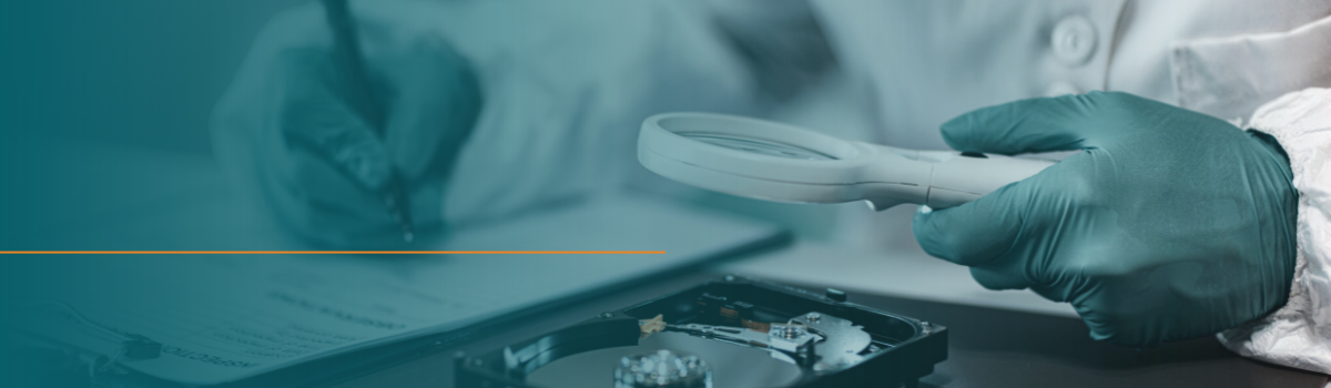 Independent and objective expert witnesses (32).png