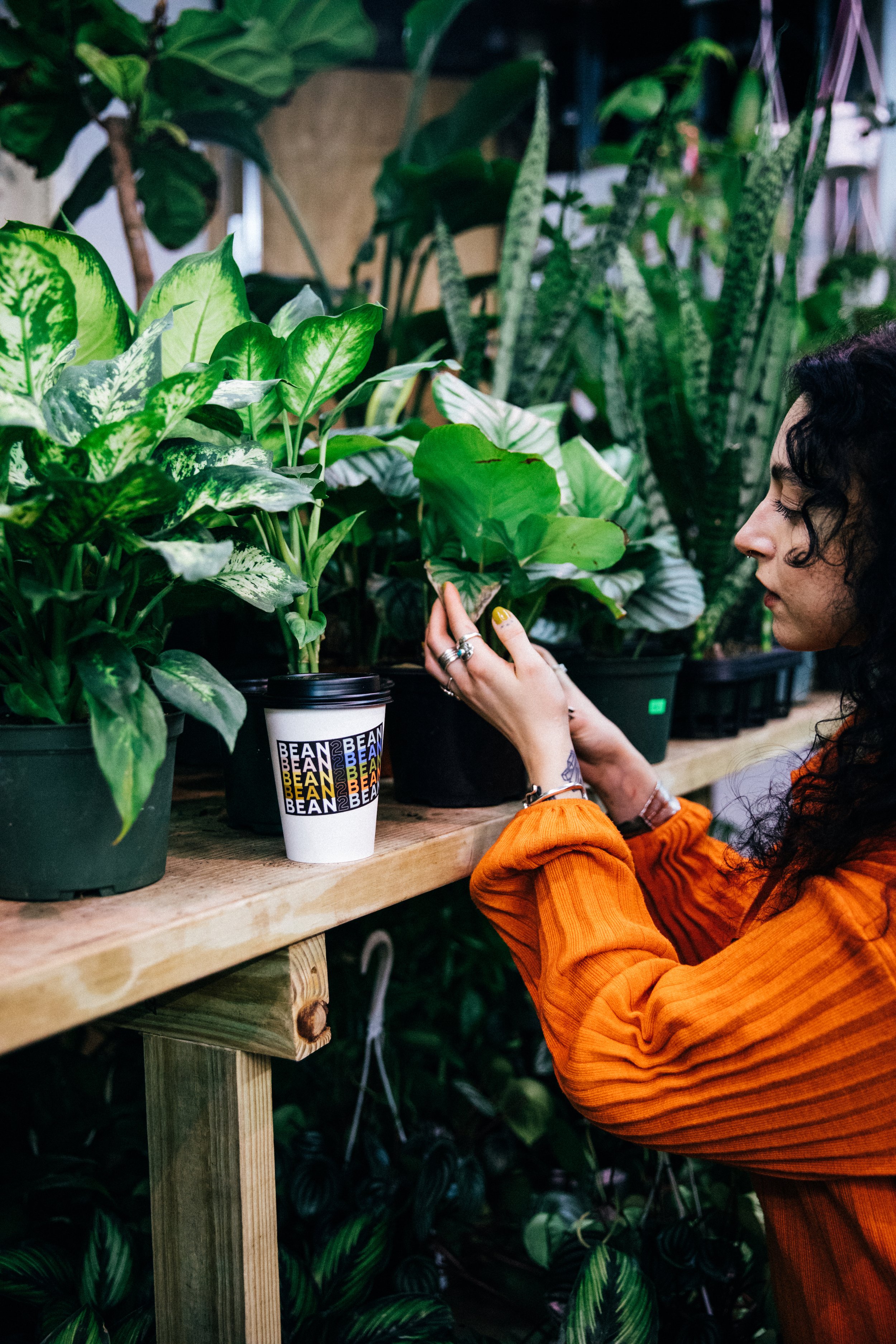 Admiring Plants with Bean2Bean Coffee, Photo by Corey Jermaine