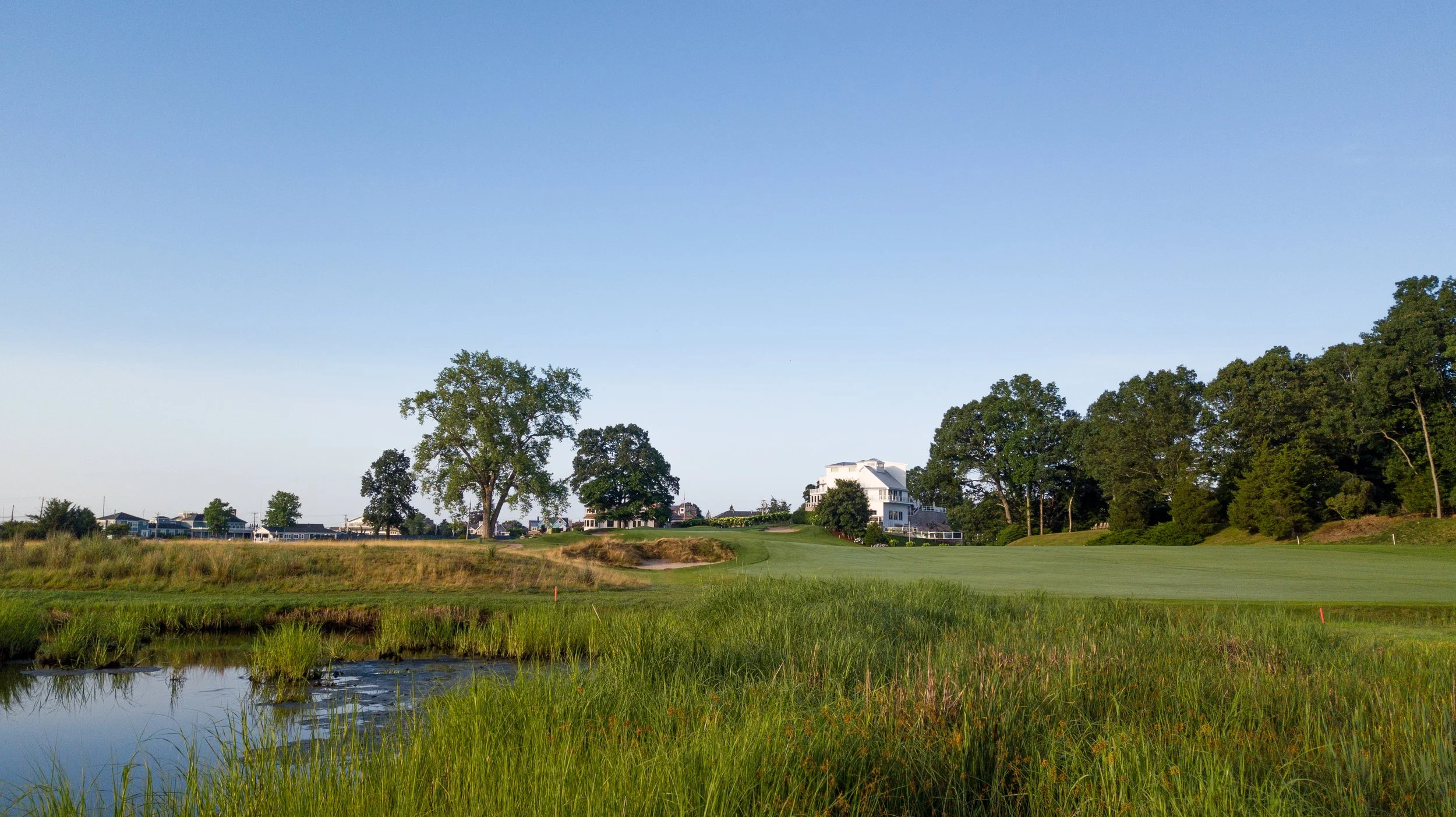 Pine Orchard 133