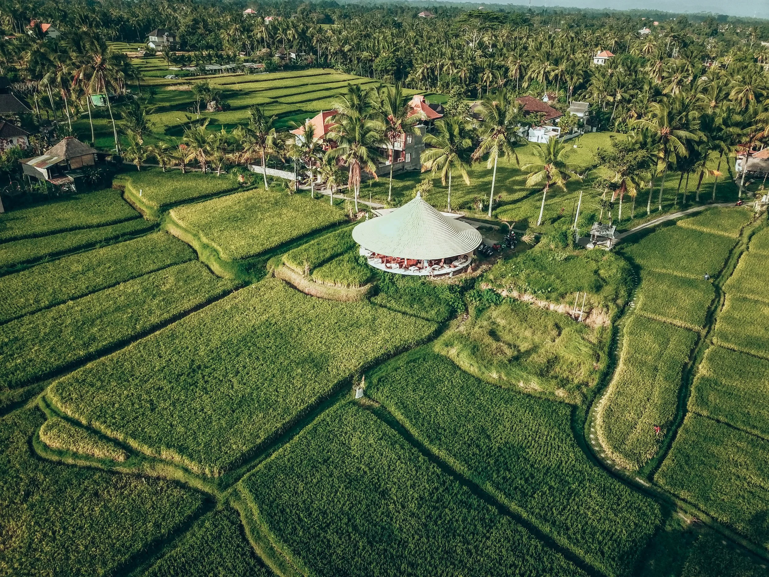 DJI_0057-2 copy.jpg