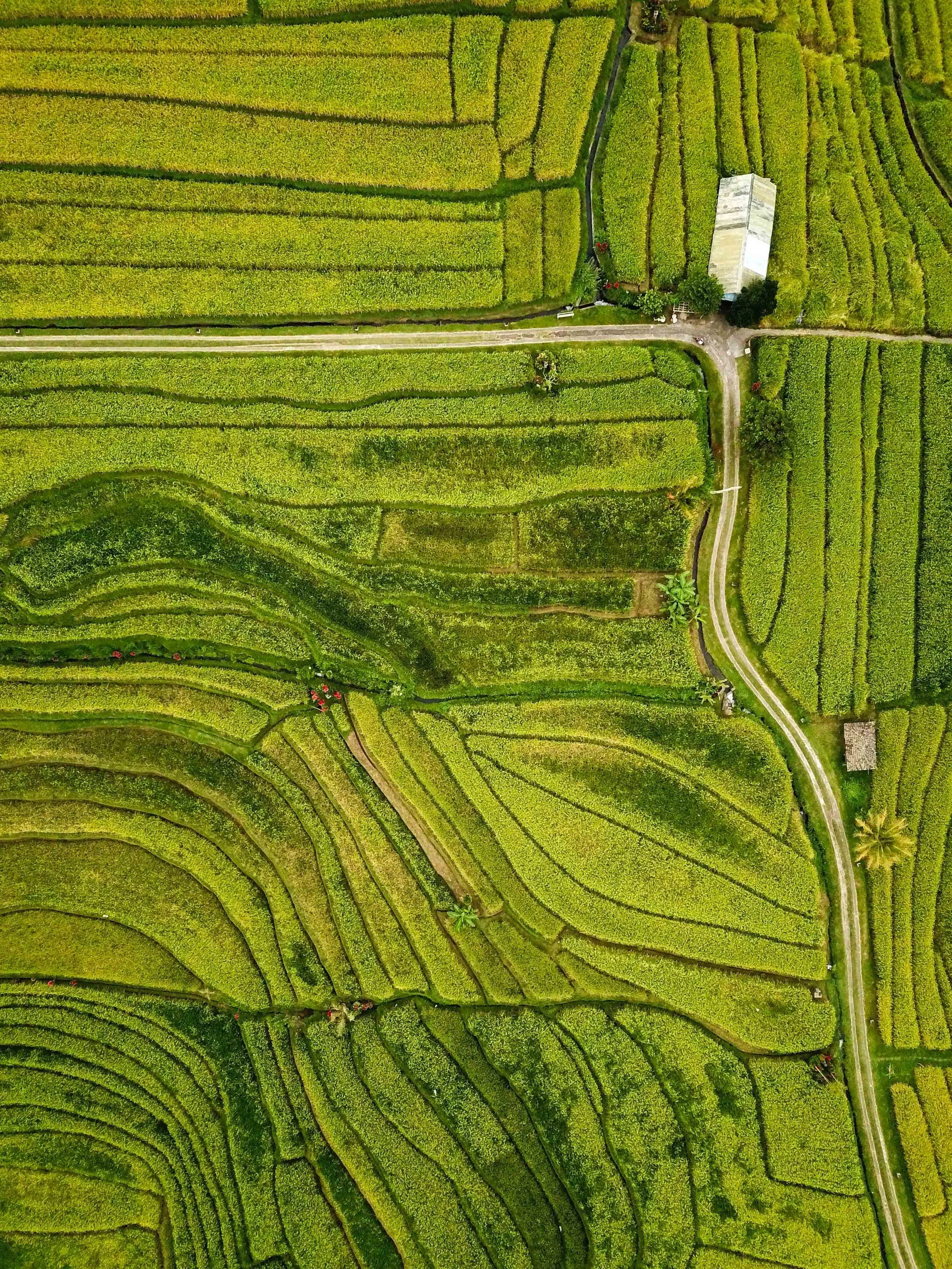 DJI_0110.jpg