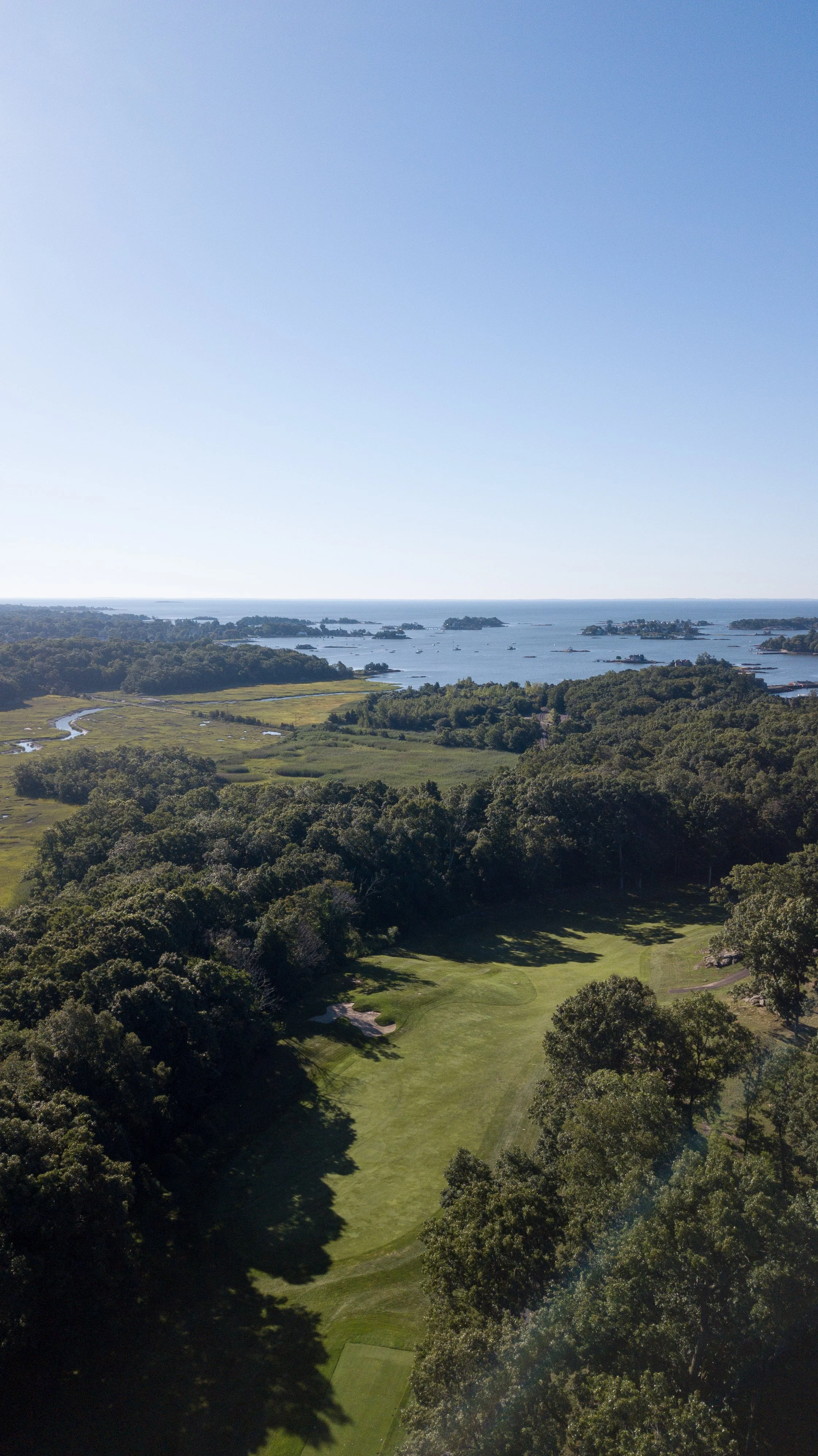 Pine Orchard 077