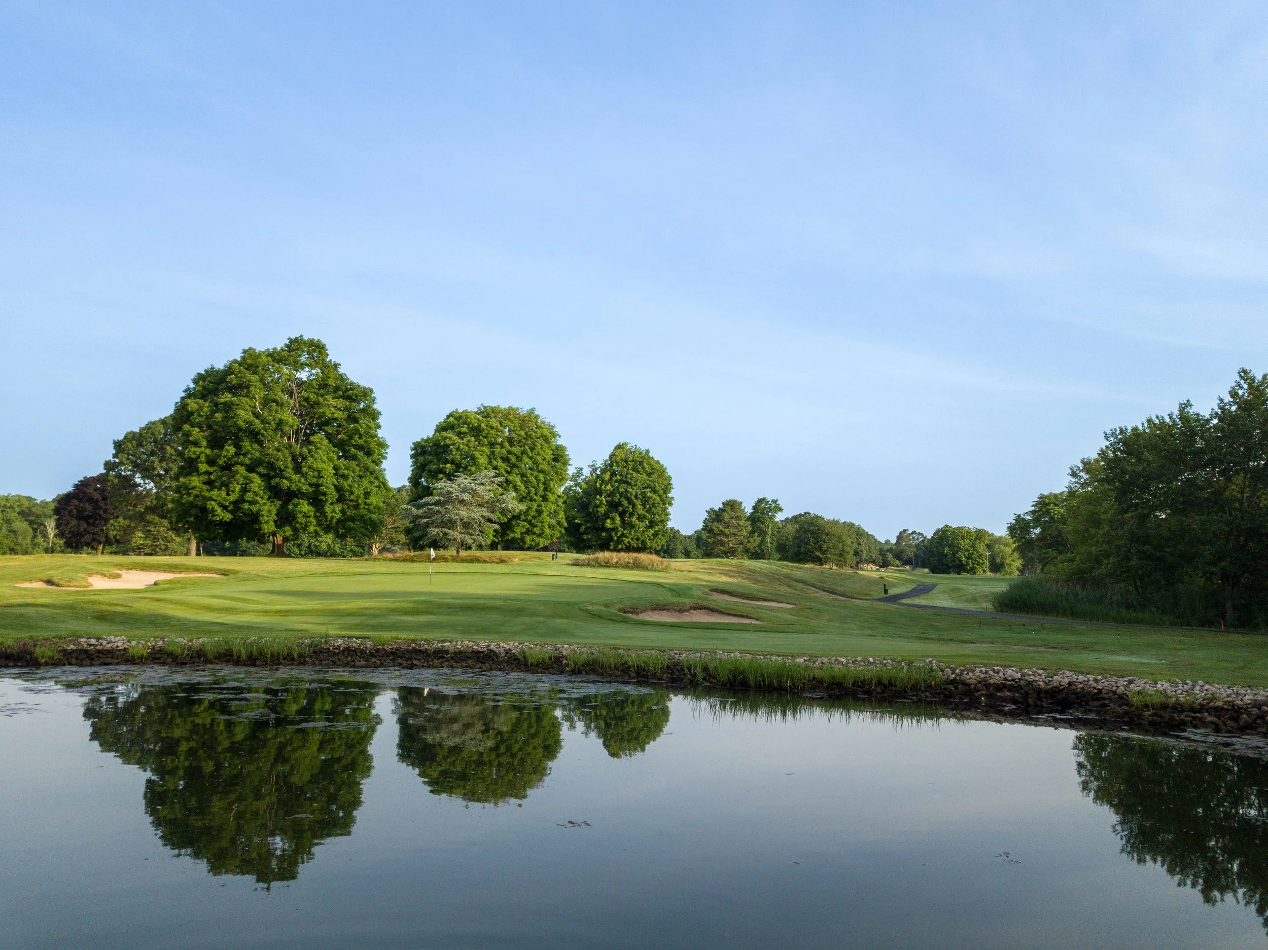 Pine Orchard 010