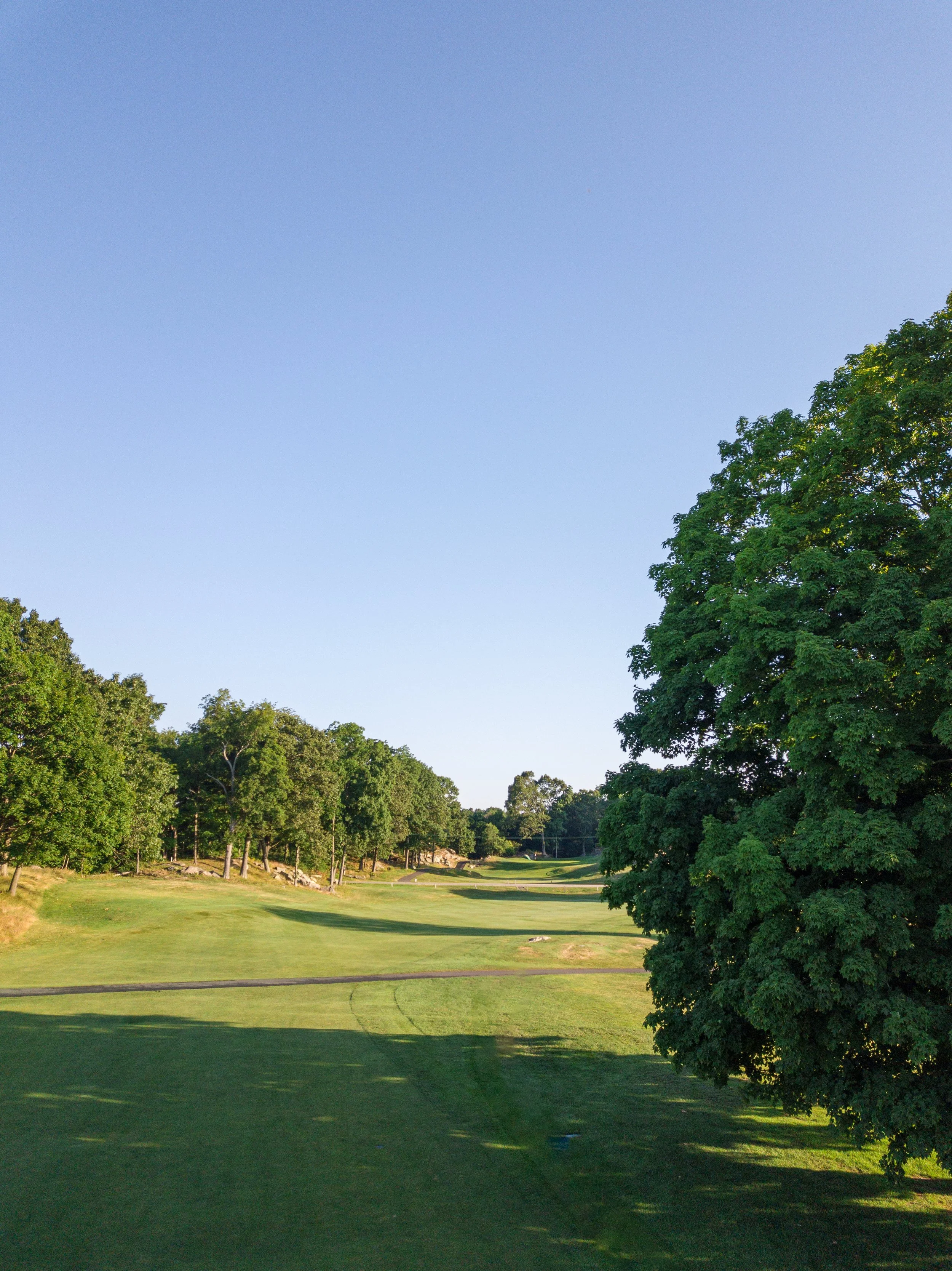Pine Orchard 044