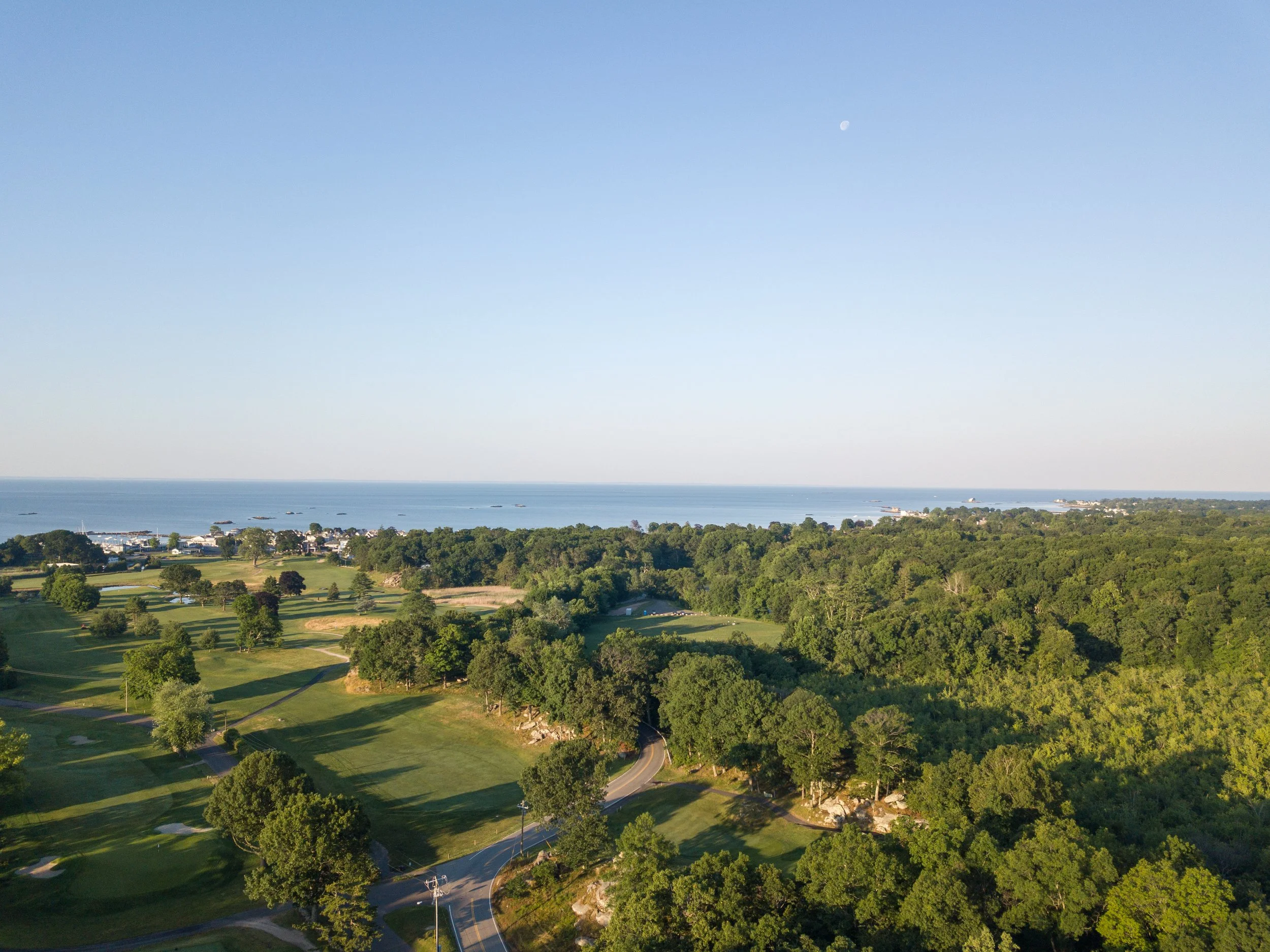 Pine Orchard 027