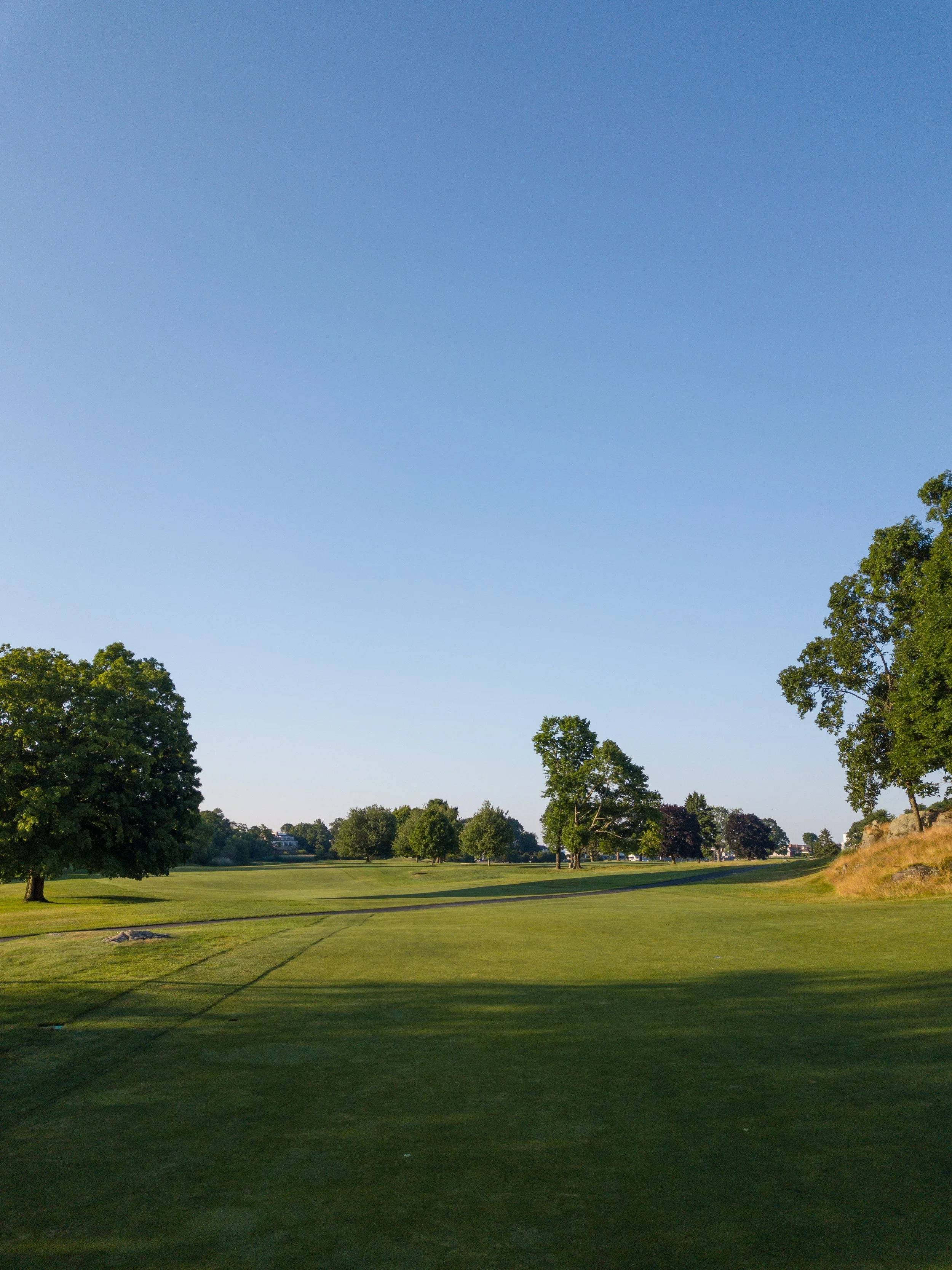 Pine Orchard 031