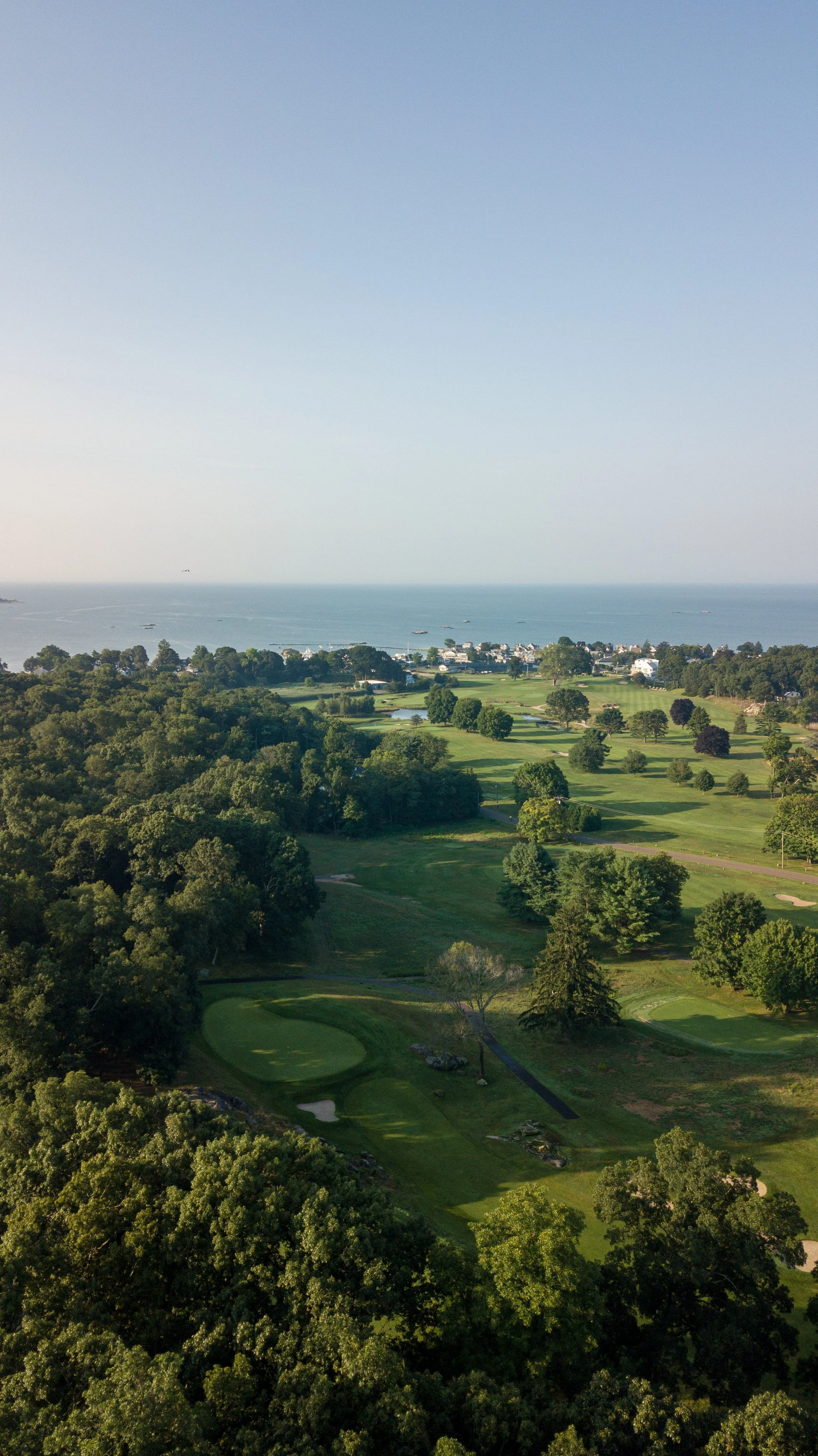 Pine Orchard 062