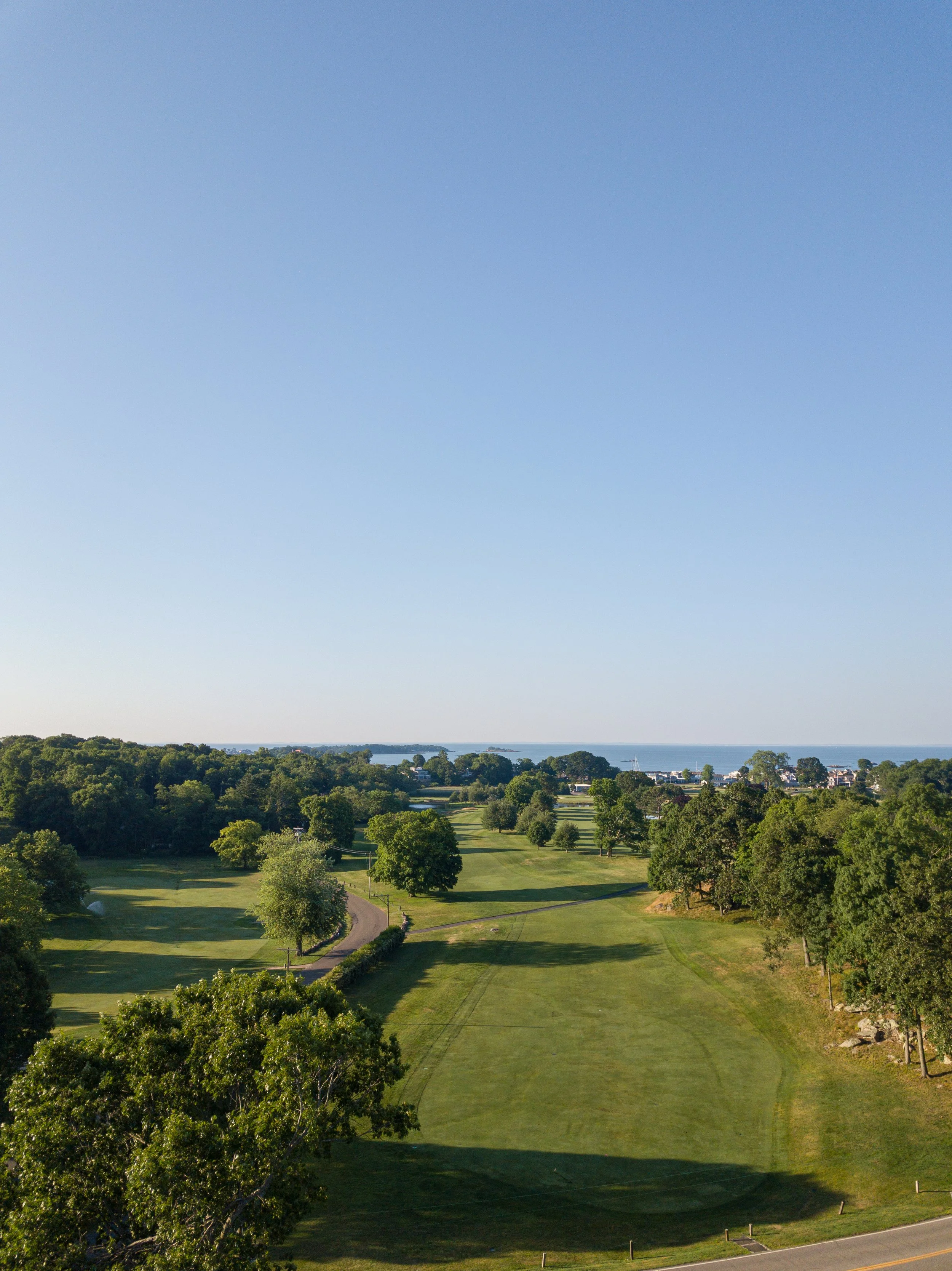 Pine Orchard 053
