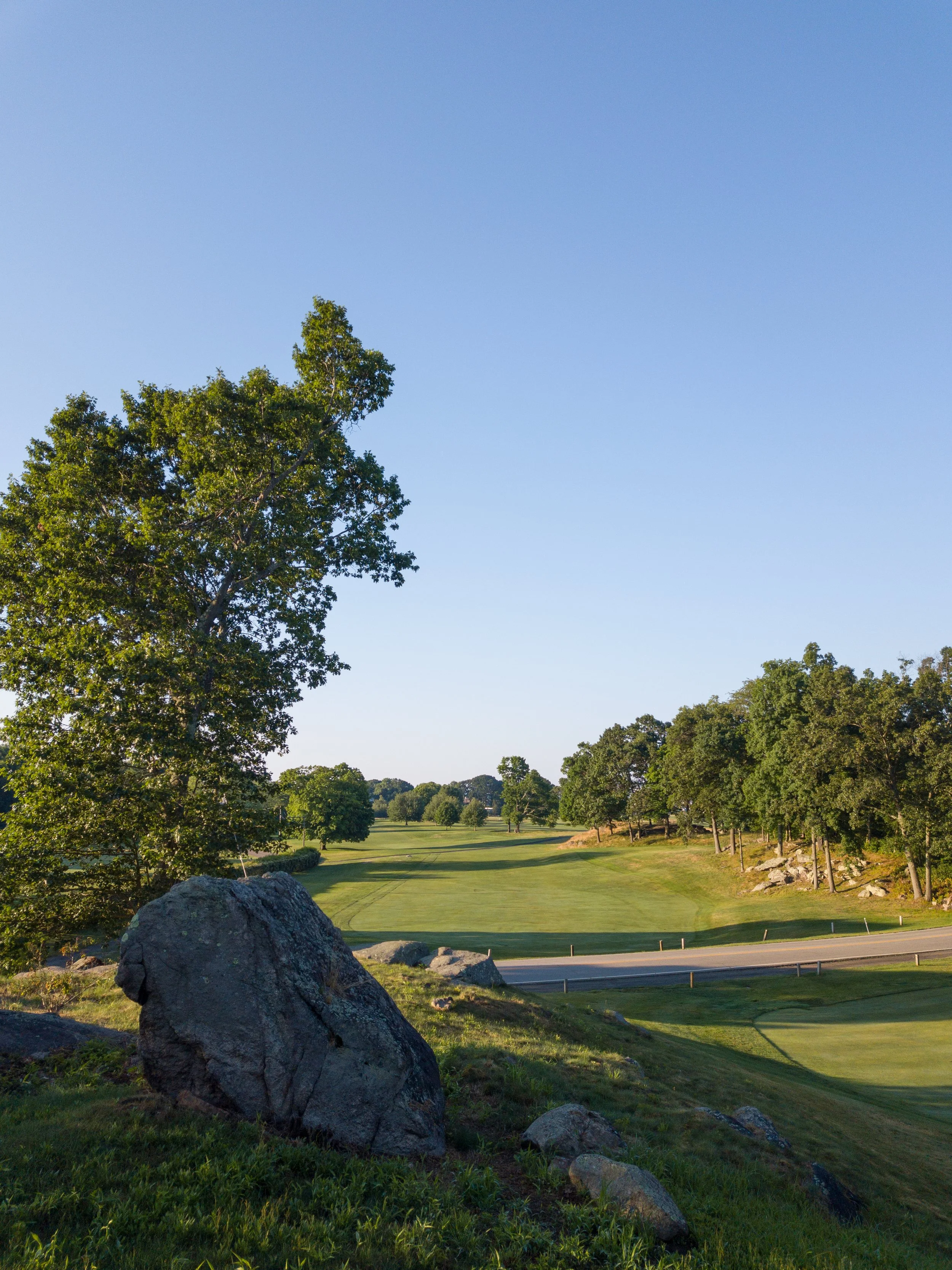 Pine Orchard 032