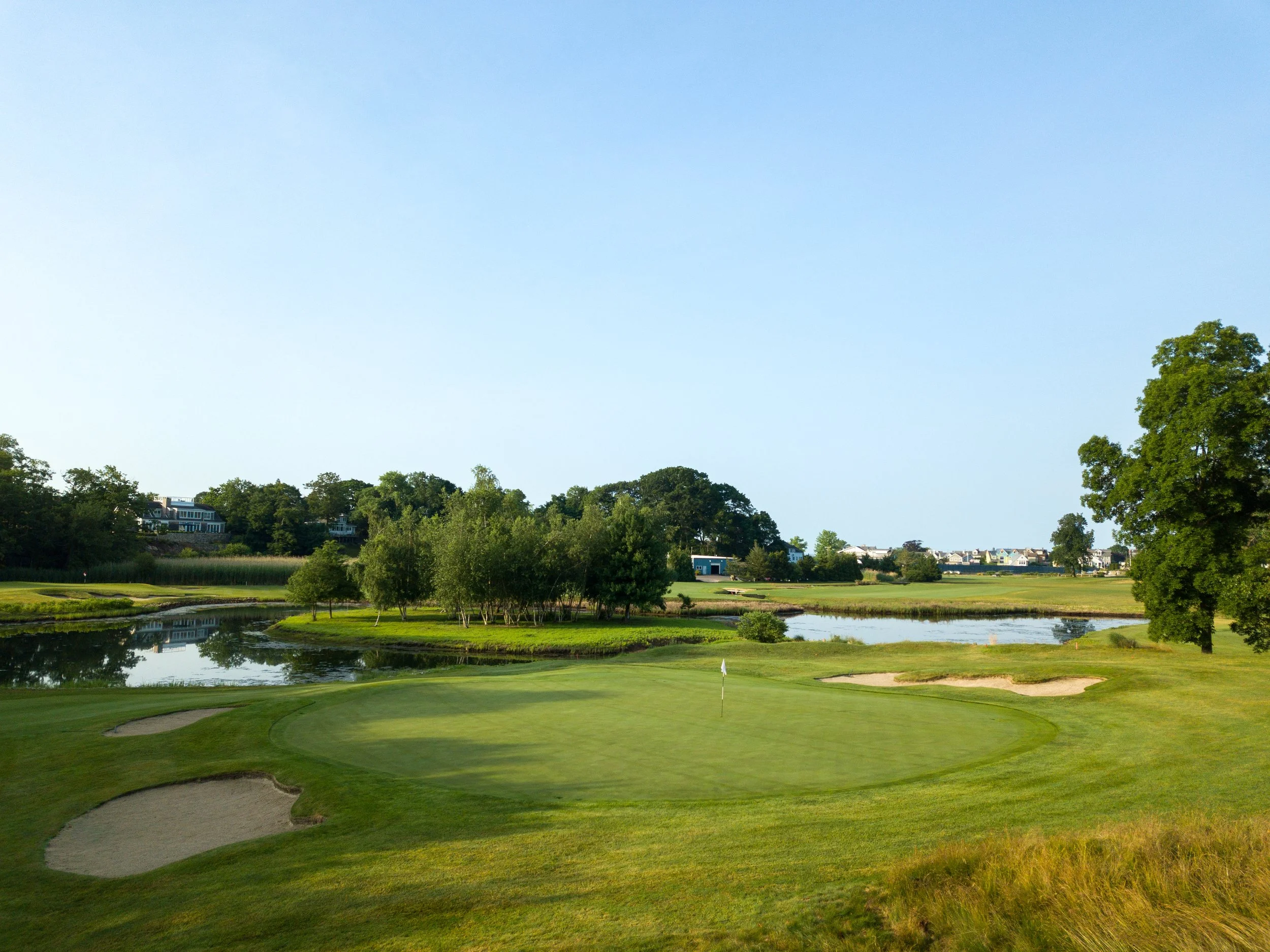 Pine Orchard 015