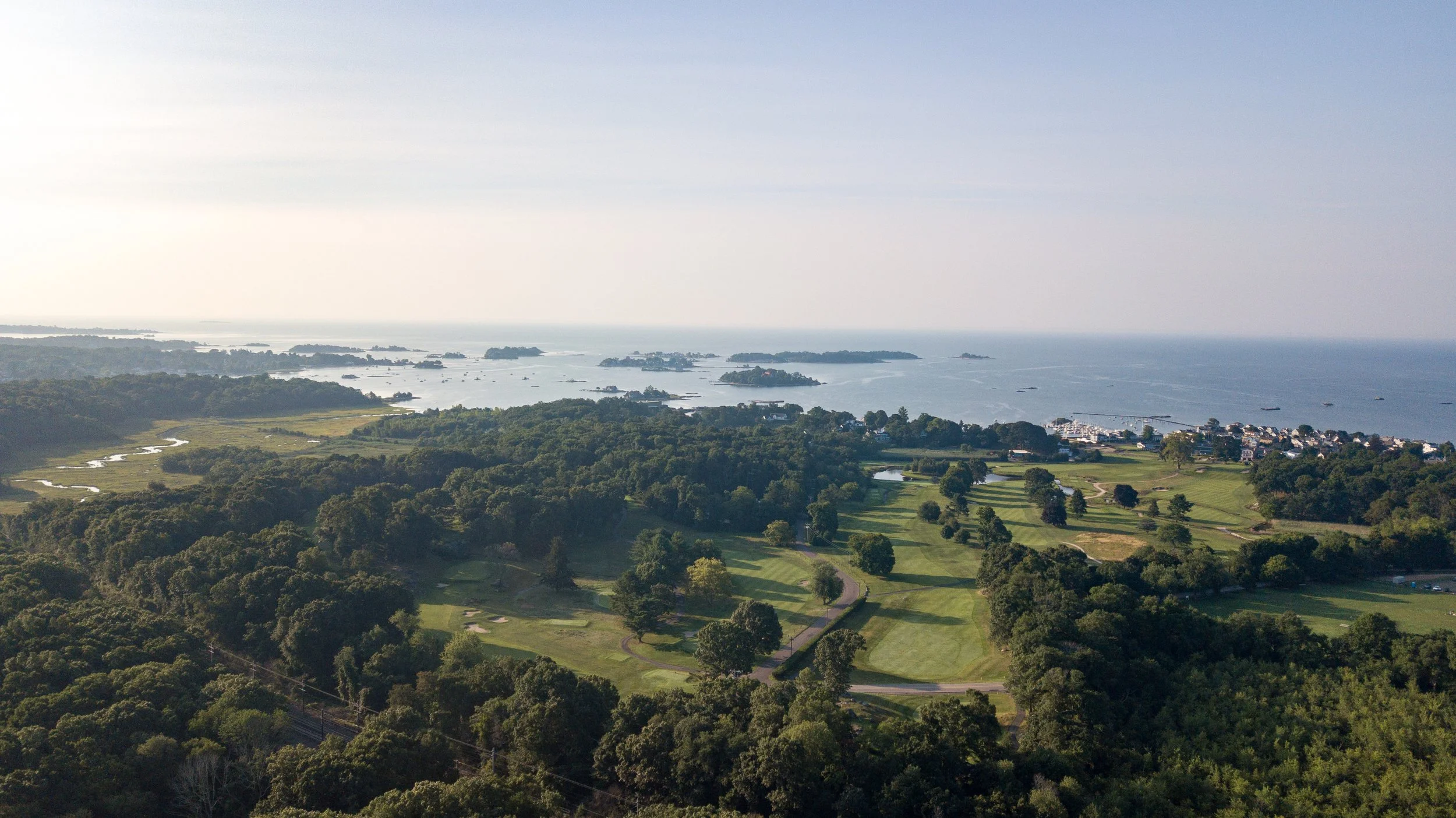 Pine Orchard 146