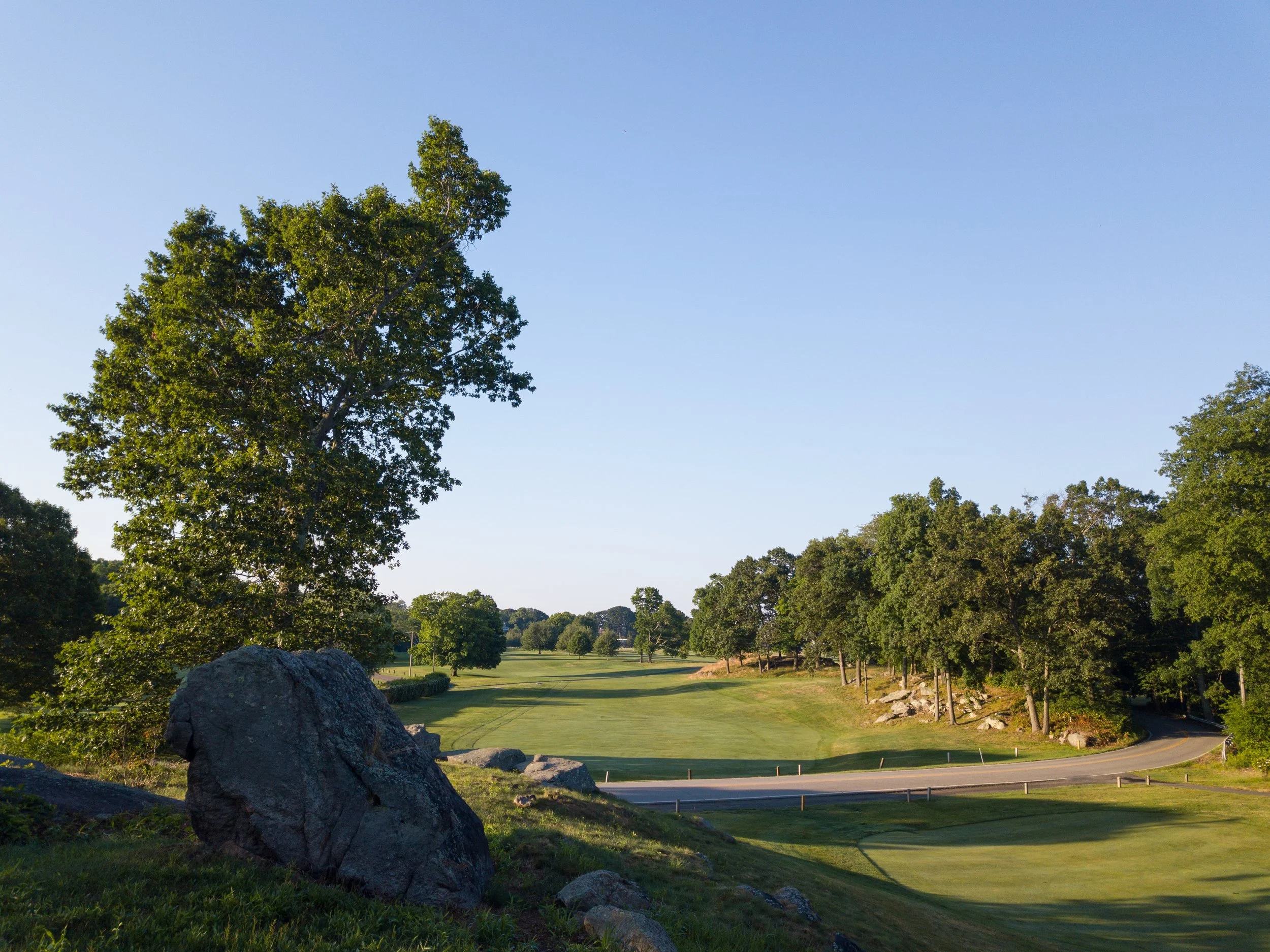 Pine Orchard 029