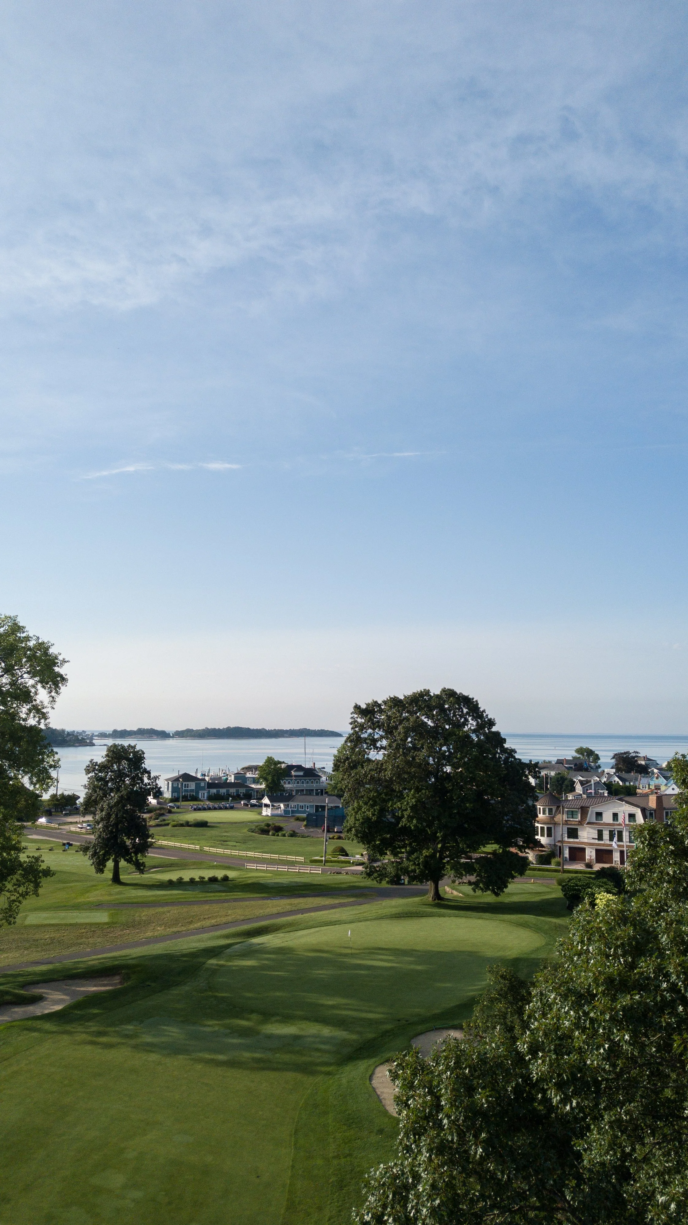Pine Orchard 143