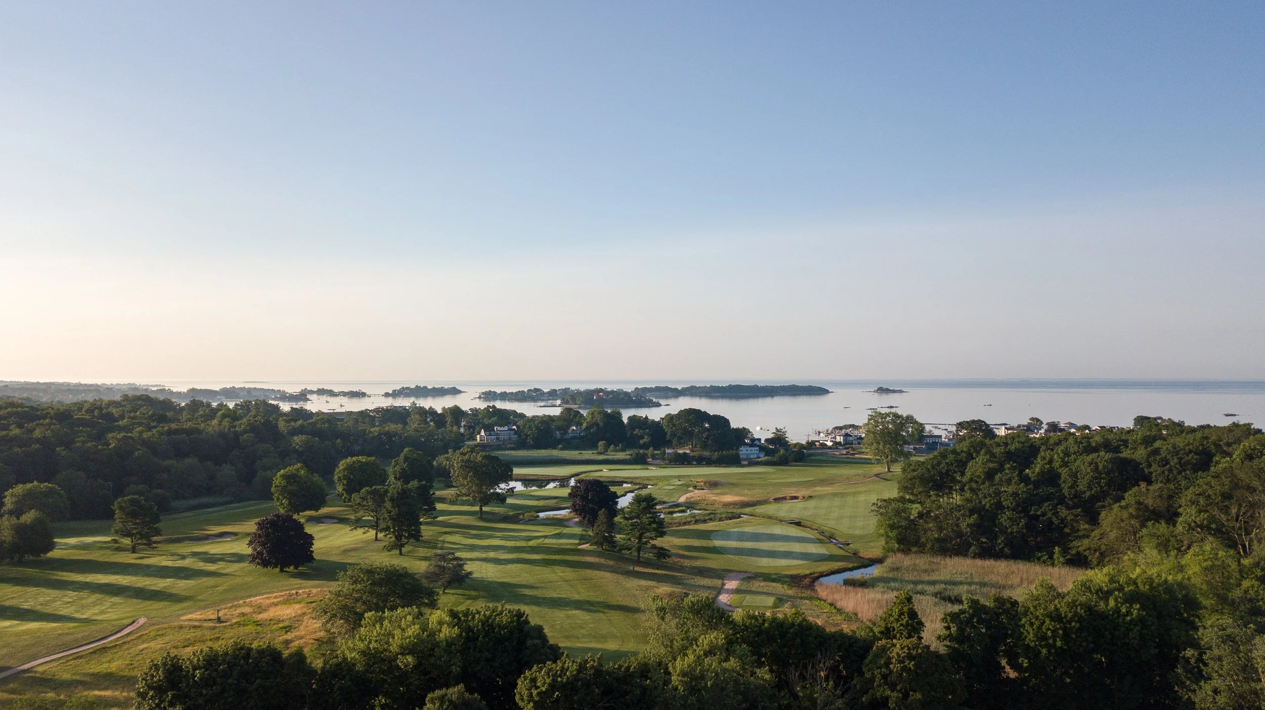 Pine Orchard 116