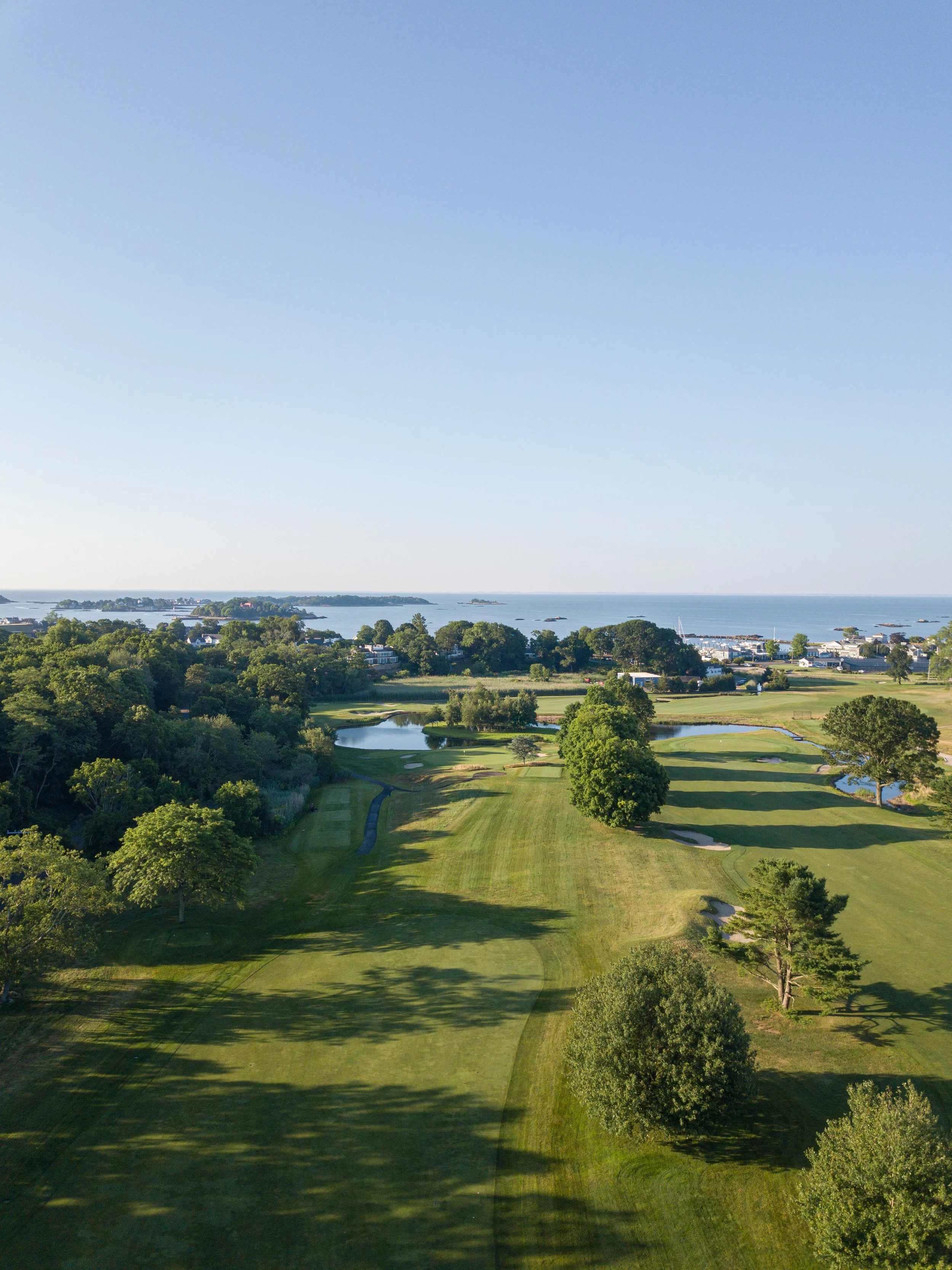 Pine Orchard 049