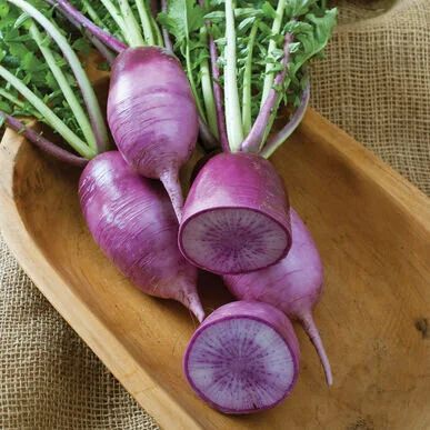Purple Daikon Radish Salad