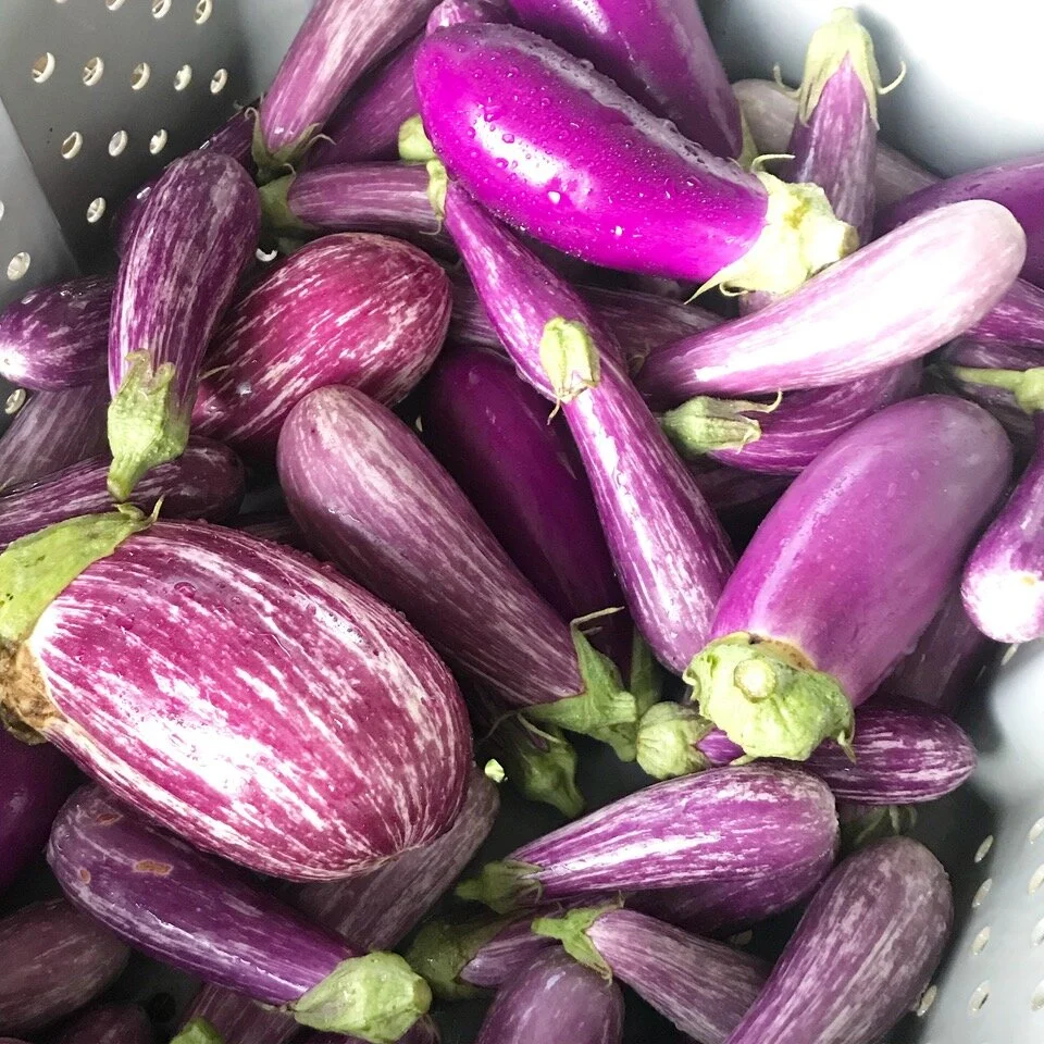 Stuffed Eggplants with Quinoa and Feta