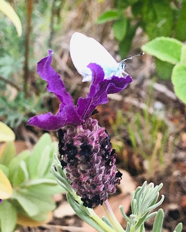 The beauty of nature 🙏🧡 #justoneplanet #simpleliving #gogreen #noplastic #protectenvirement #organic #bio #naturkosmetik #naturaufderhaut #capsulewardrobe #gr&uuml;nemode #nachhaltigemode