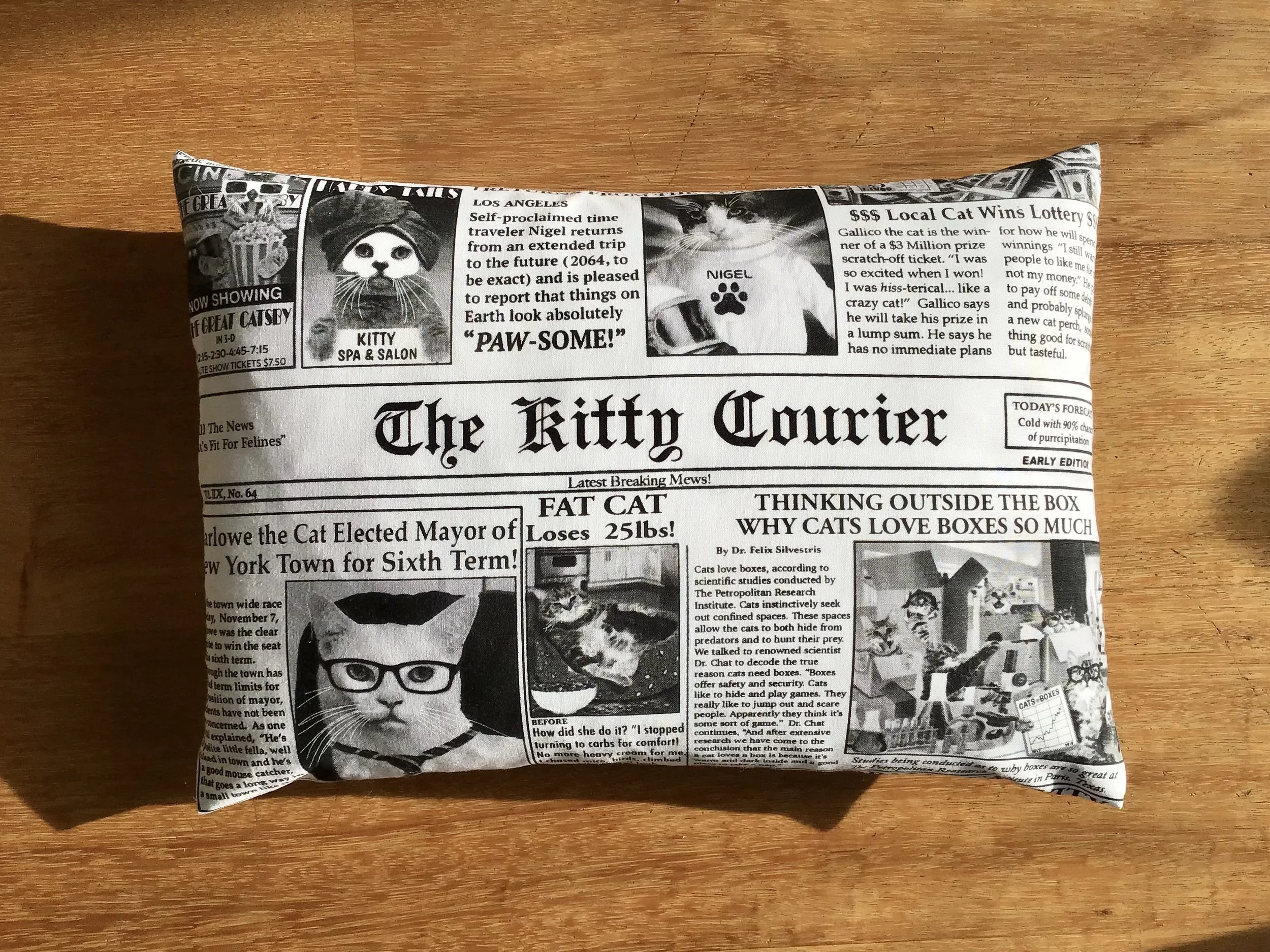 „Cat News“ White/Black