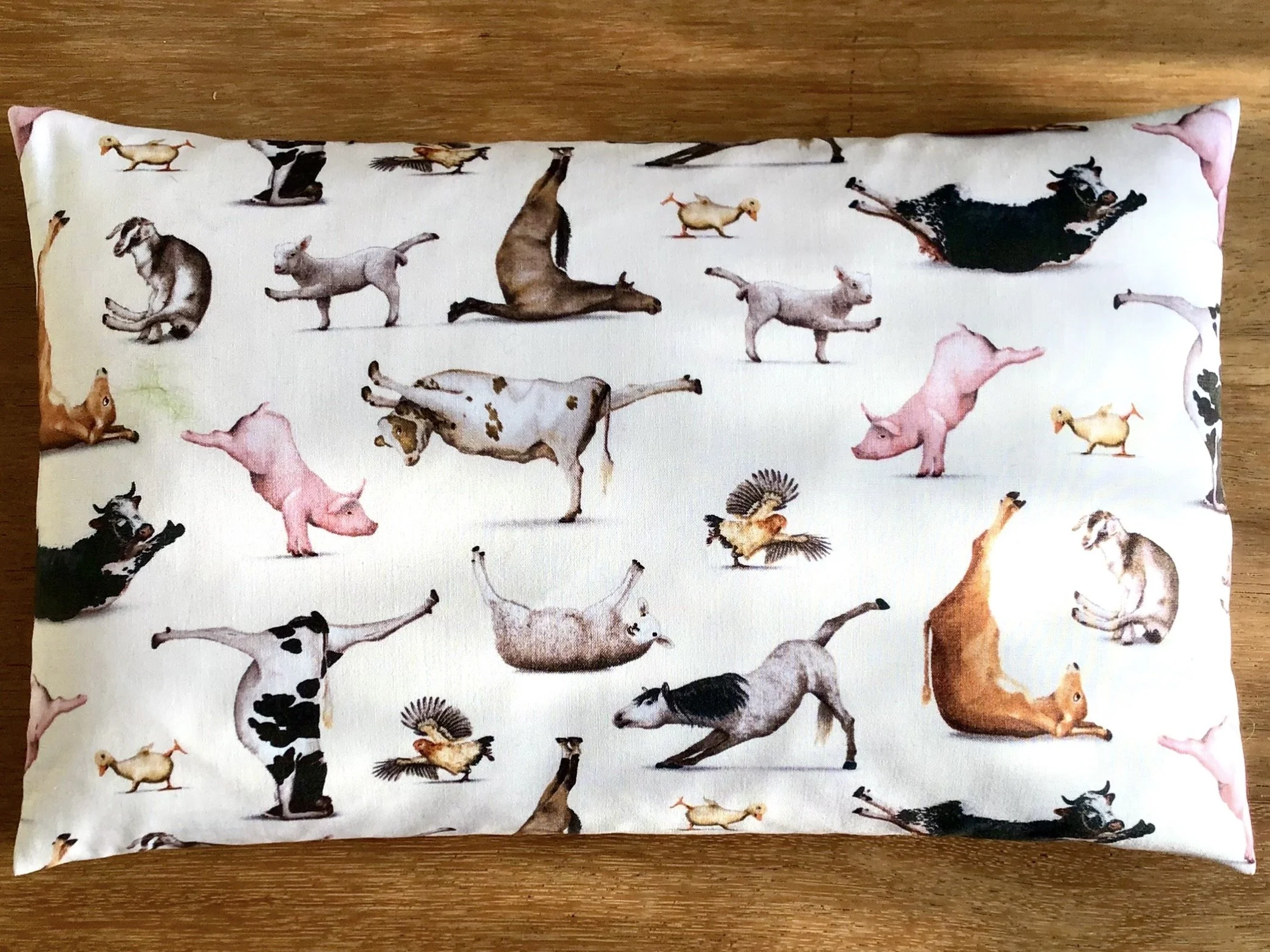 Kuschelkissen „Echt jetzt …?“ – 40 × 25 cm