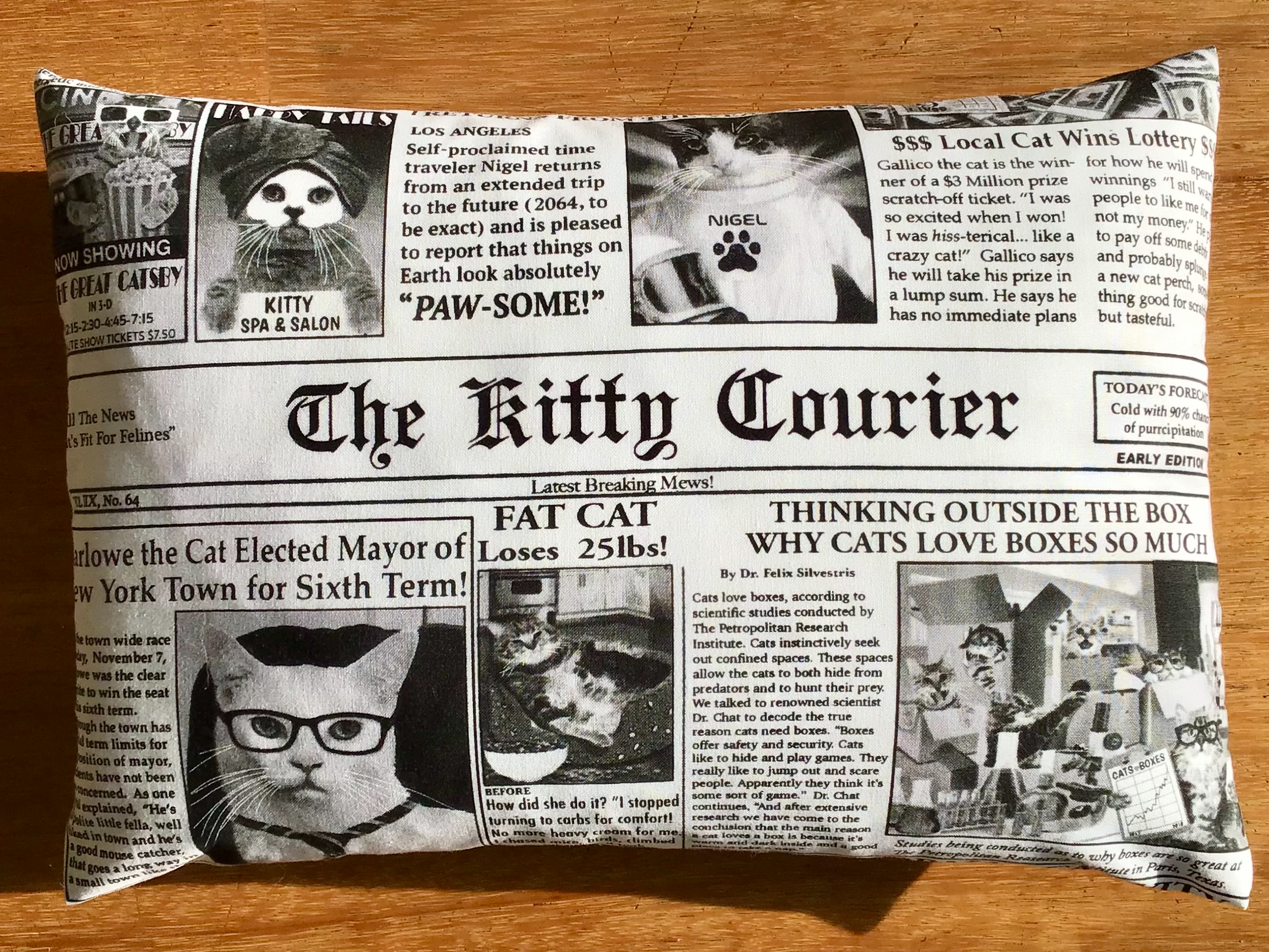 Kuschelkissen "Die Katzenpresse“ – minimal kleiner 40 x 25 cm