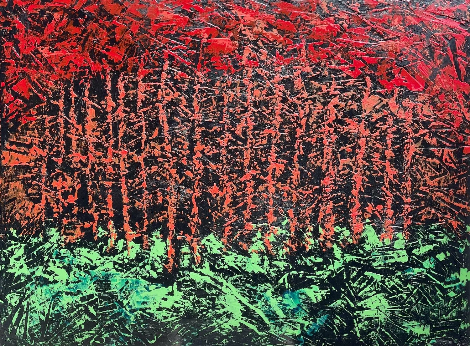Night Forest
