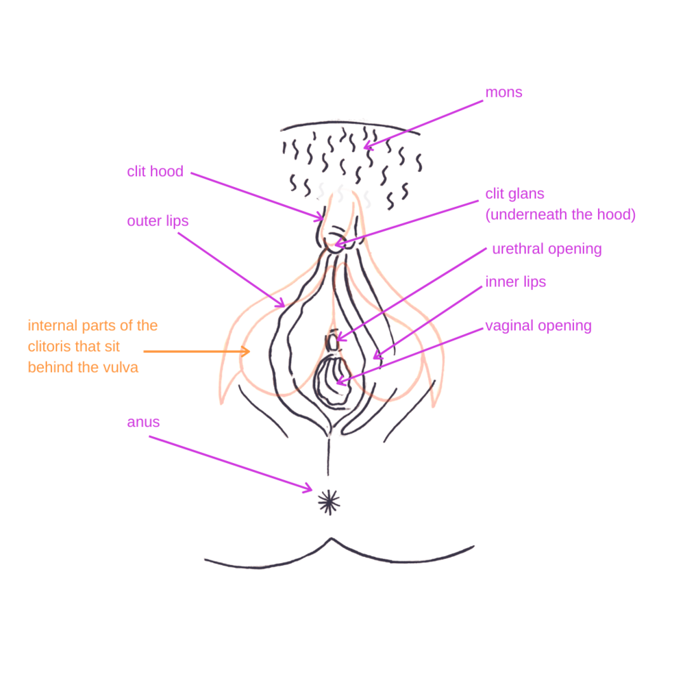 how to vibrate your clit Automatic Male Masturbator Sex Toys, Masturbators Cup with 5 Thrusting & 4  Sucking & 7 Vibration