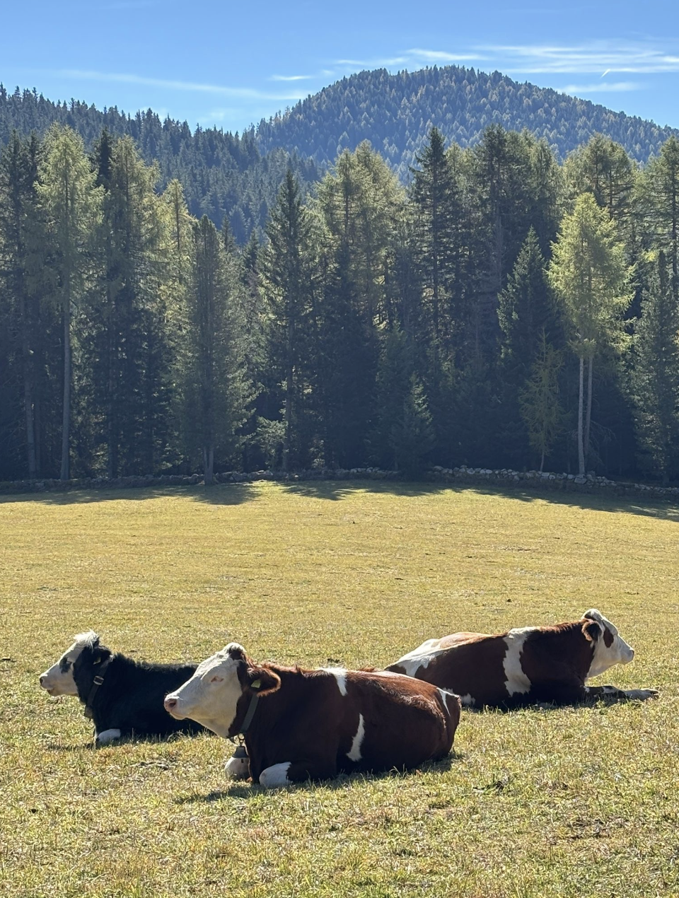 Screenshot 2026-04-13 at 16.31.35.png