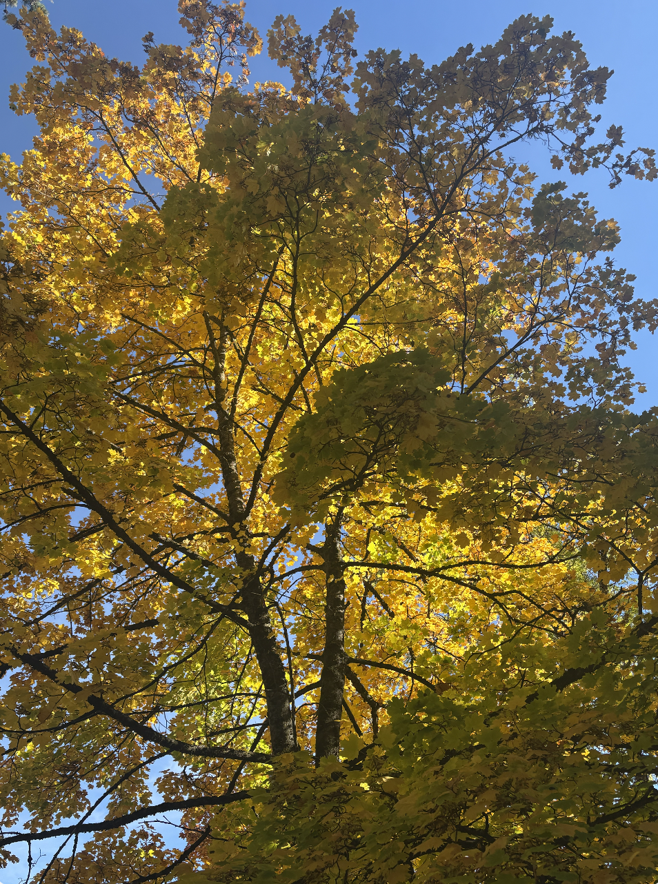 Screenshot 2026-04-13 at 16.32.27.png