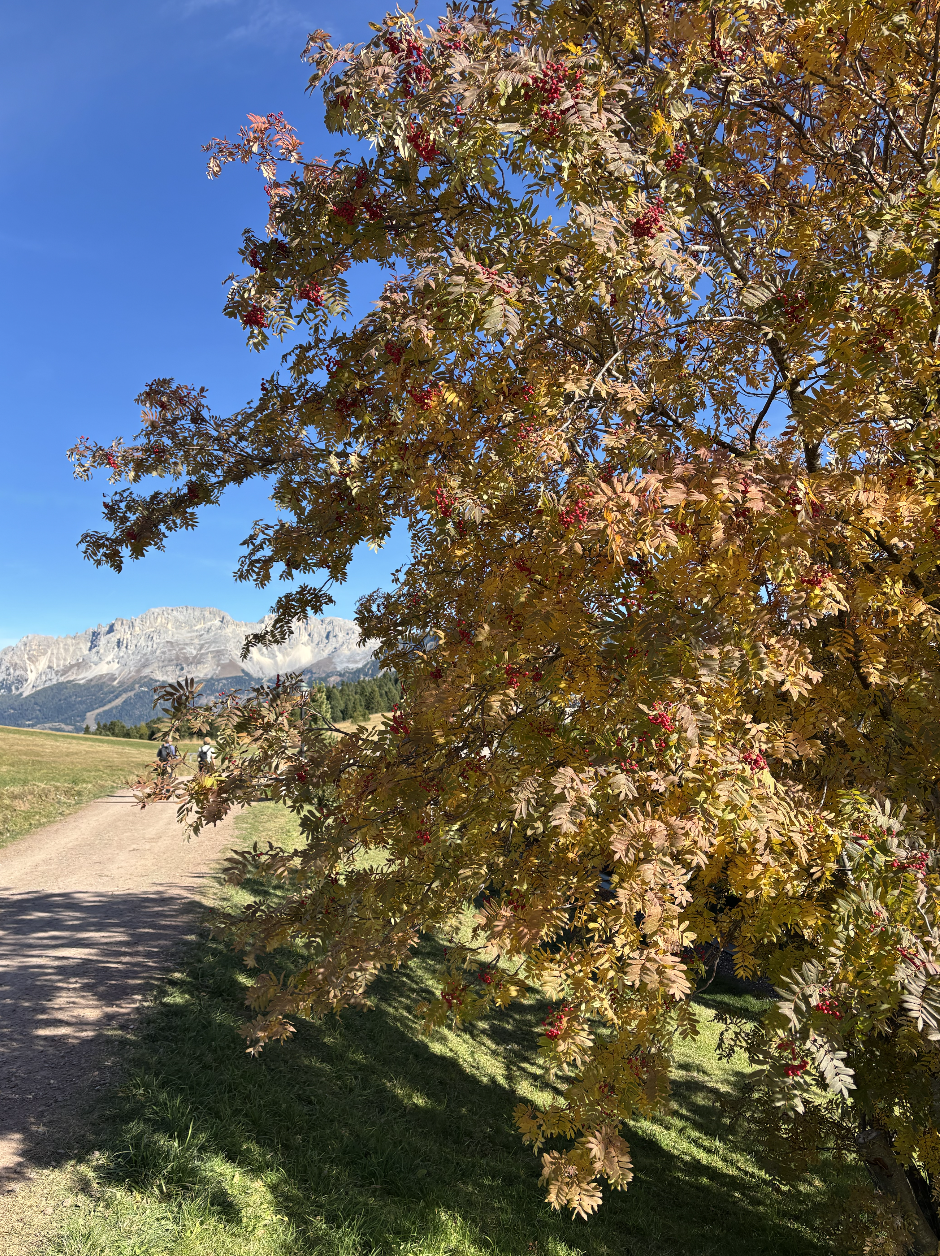 Screenshot 2026-04-13 at 16.32.06.png