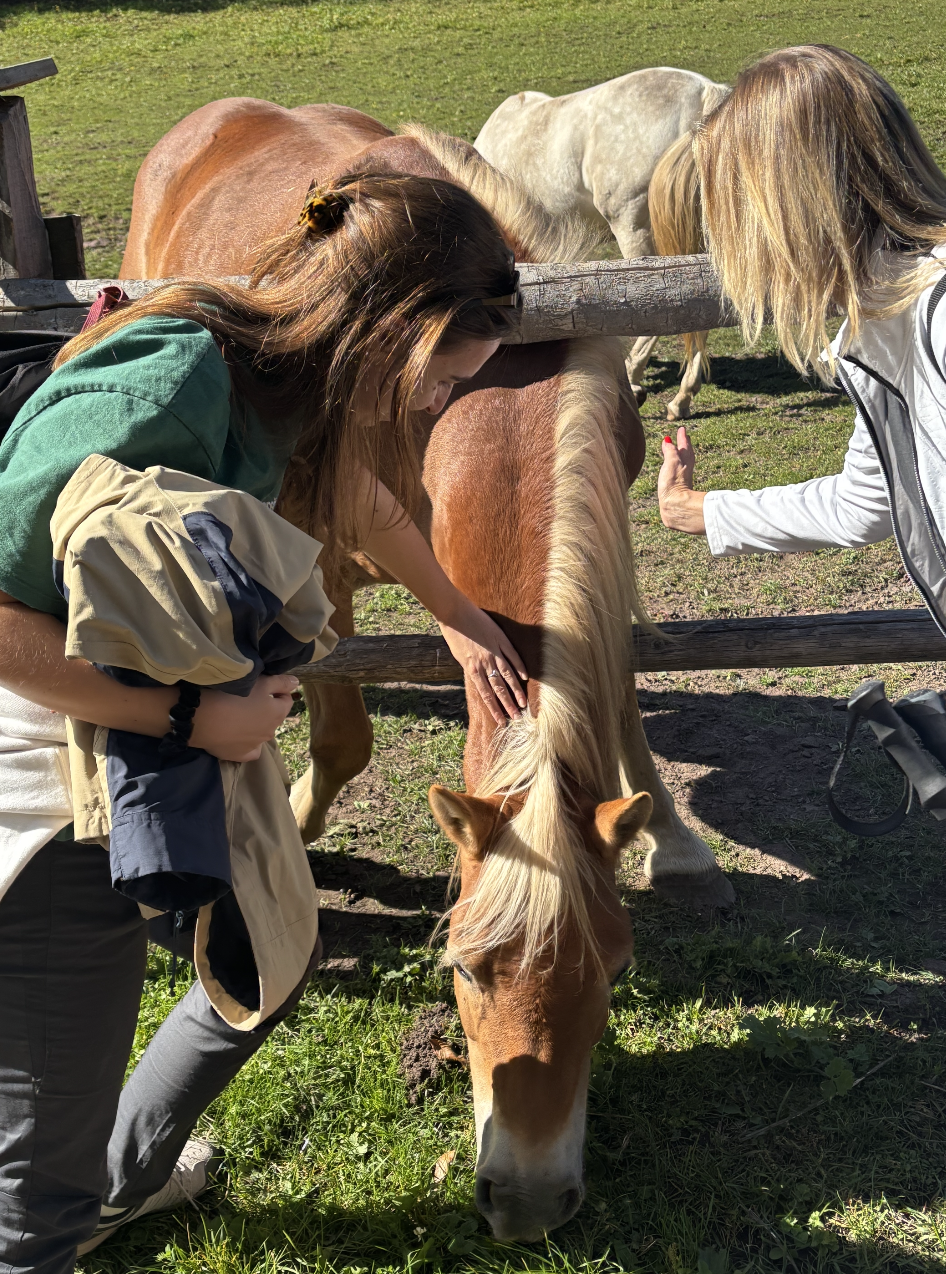 Screenshot 2026-04-13 at 16.26.16.png