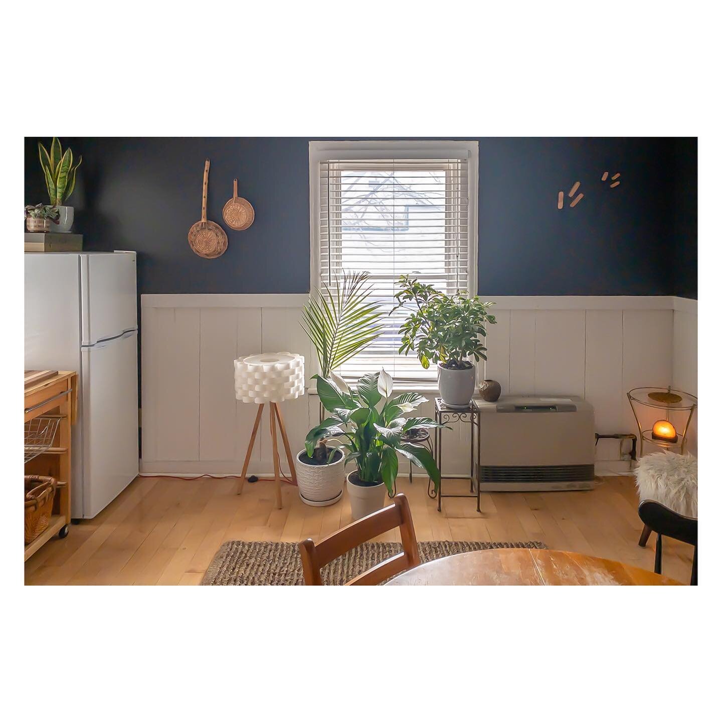 Deluxe Cute Apartment in the 💕 of Winooski, VT. Quiet and Cozy one bedroom with a large kitchen.
.
.
.
.
#superhost #airbnbvermont #airbnbtravel #airbnbguide #airbnbguest #airbnbhomes #airbnbsuperhost #airbnb #airbnbphoto #airbnblife #airbnblove #ai