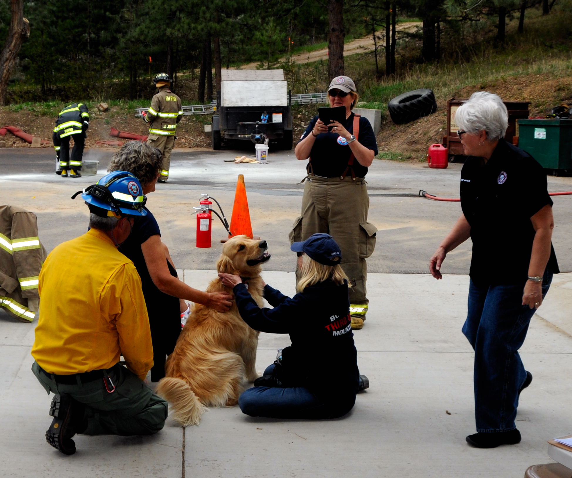 FireDog.jpg