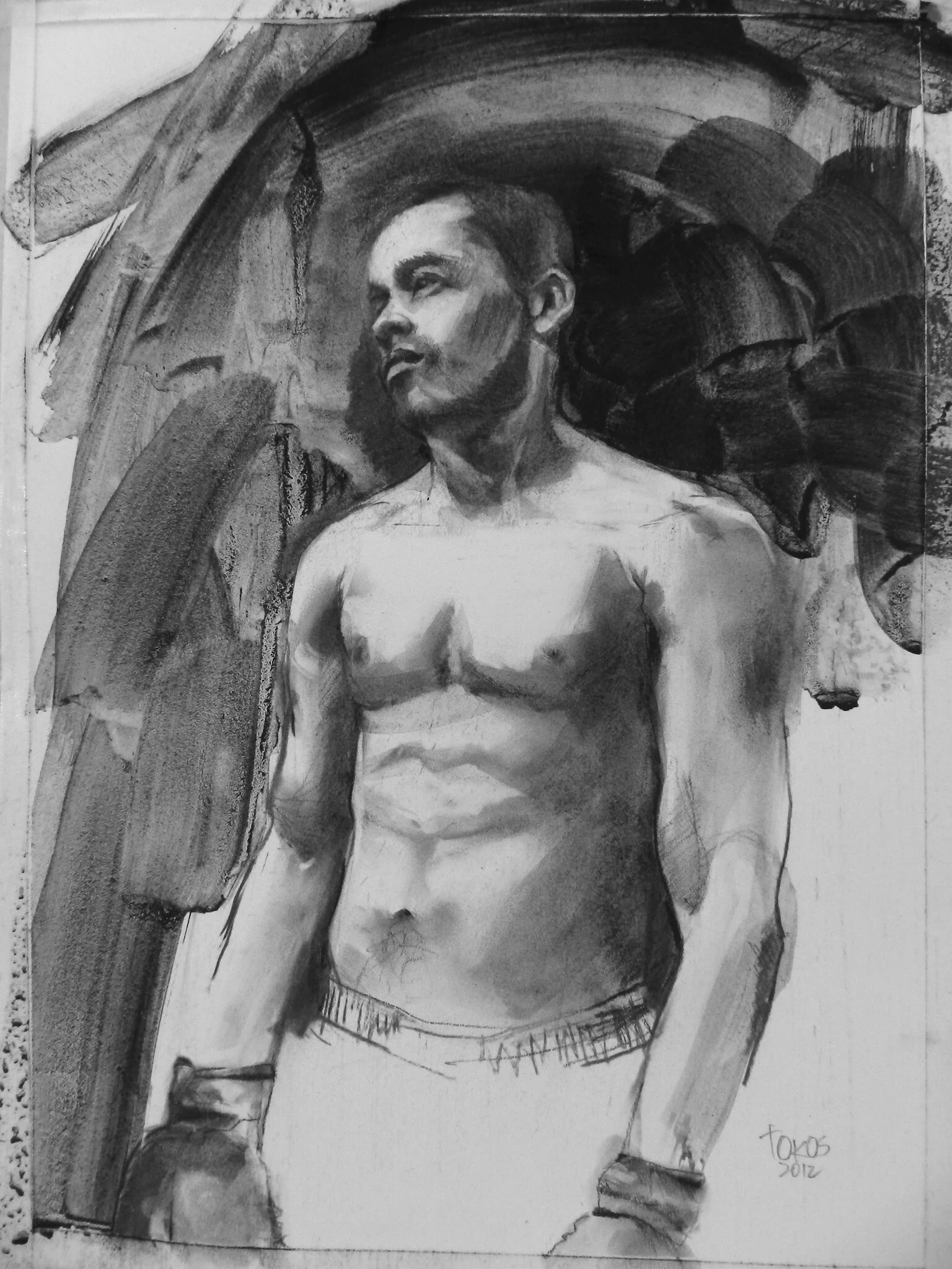 THE BOXER©TOKOS.JPG