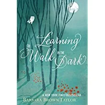 Book Review: "Learning to Walk in the Dark"