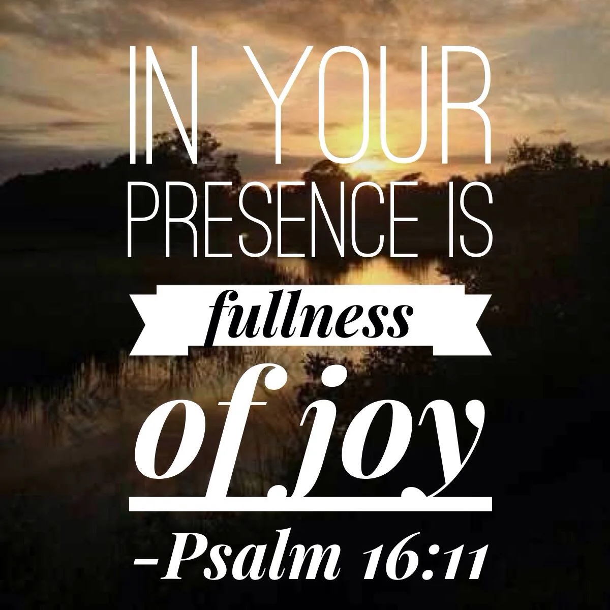 Joy Invincible
