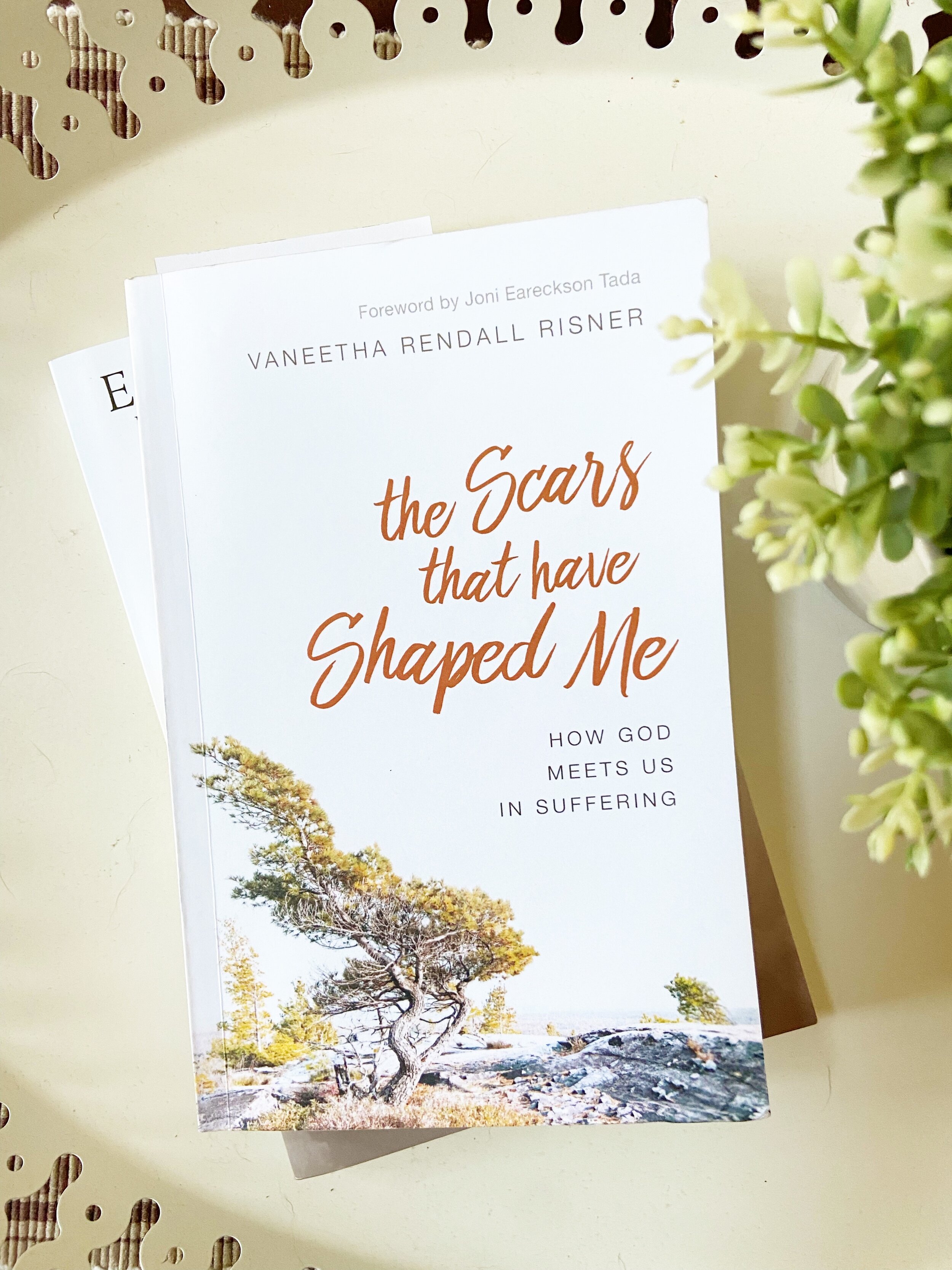 Book Review: The Scars that have Shaped Me