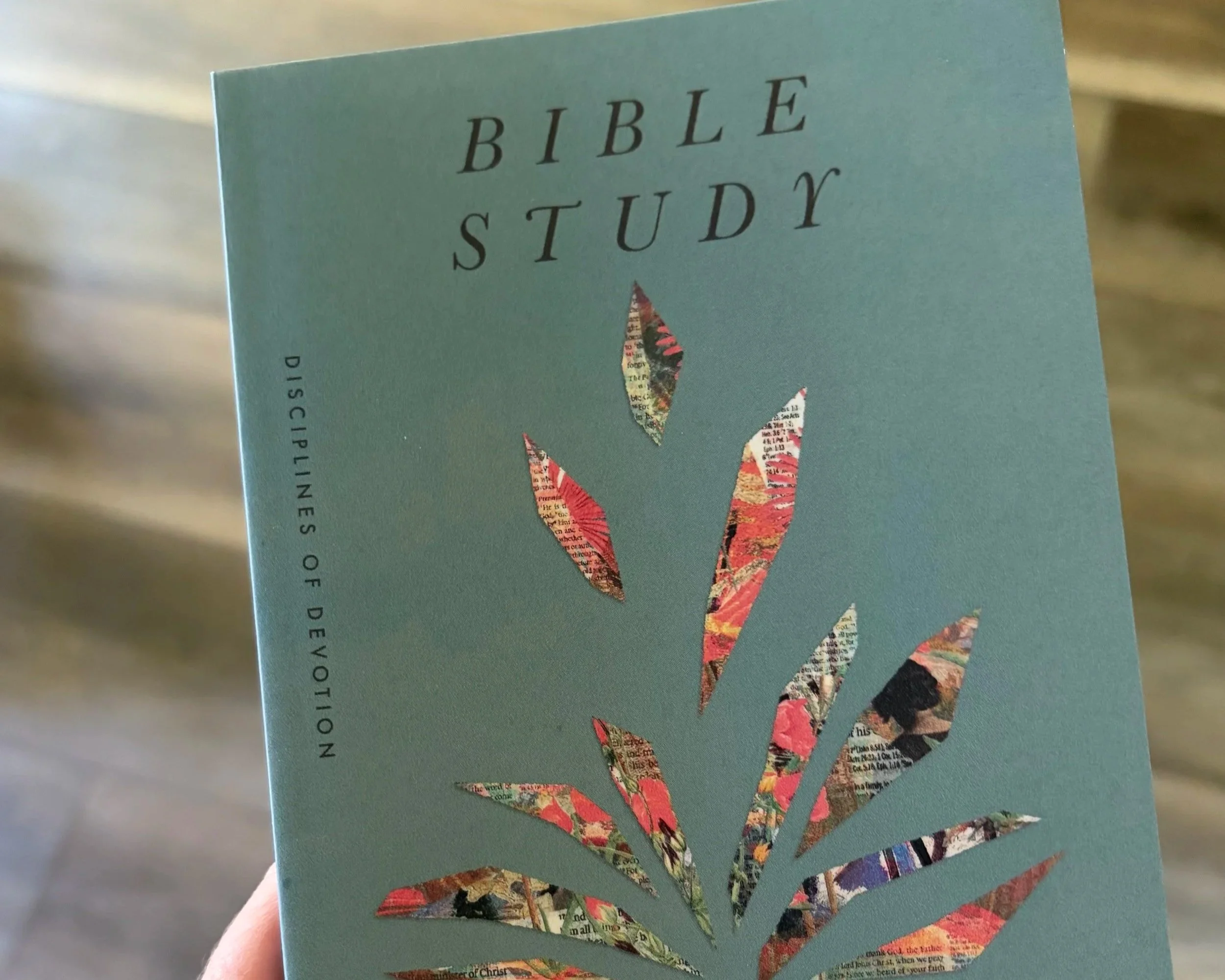 Book Review: Bible Study by Glenna Marshall {+ Bonus Video}