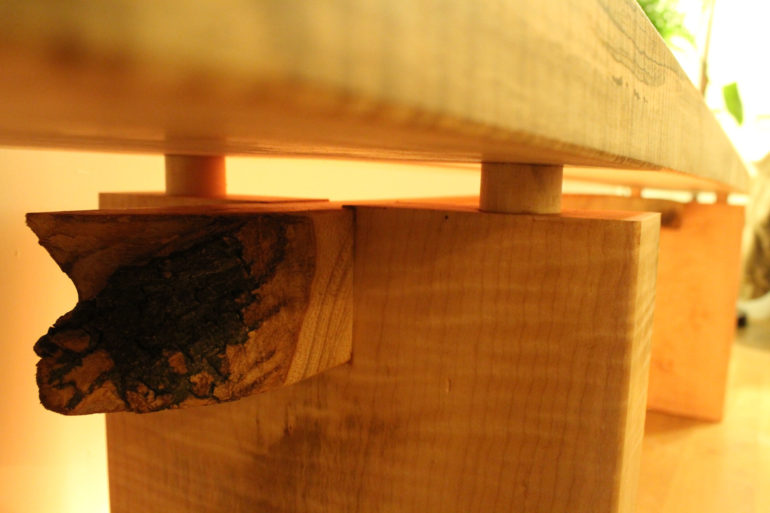 maple water rapids BUKU