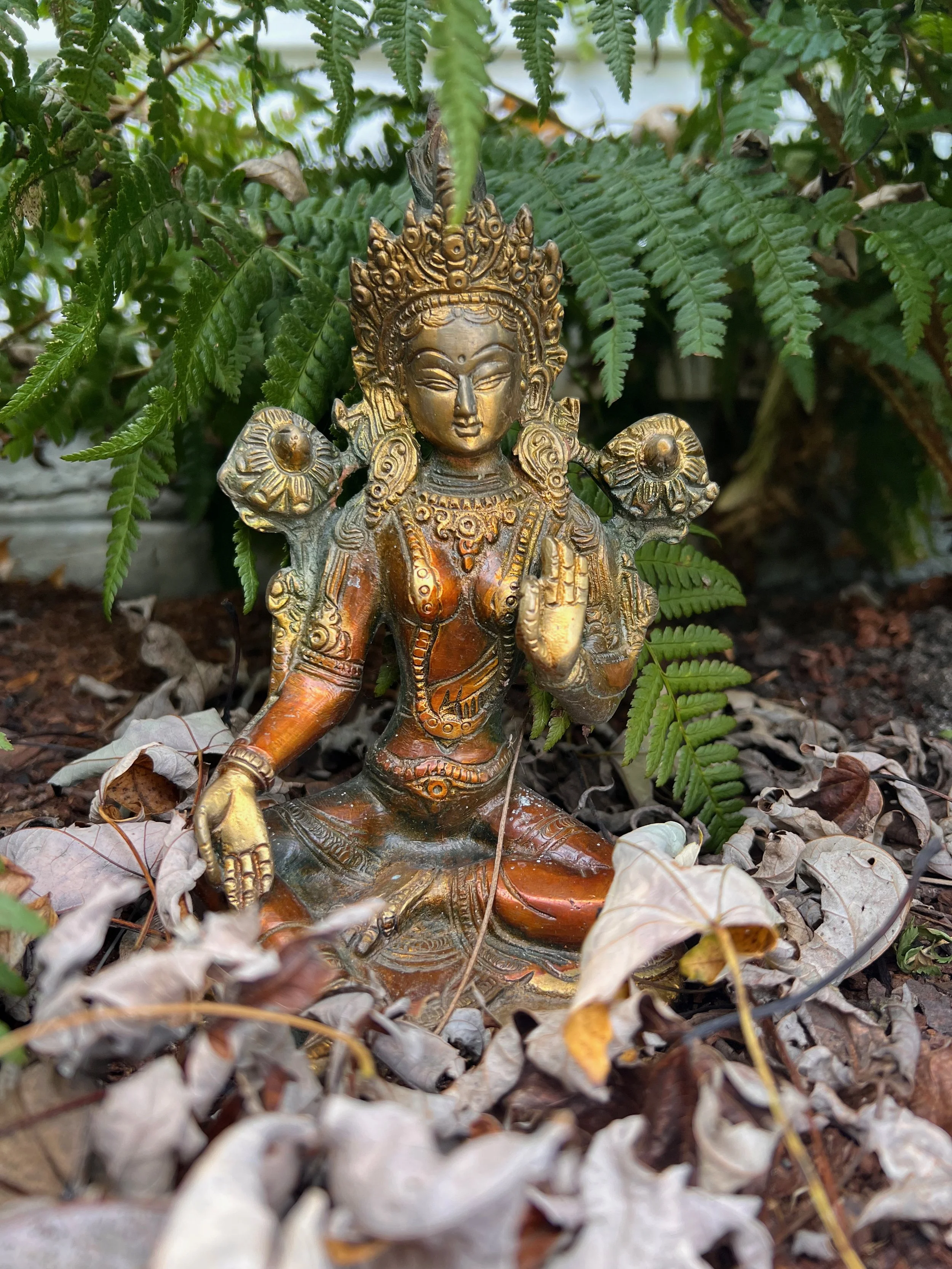 Meditation Initiation: 21 Days with Green Tara