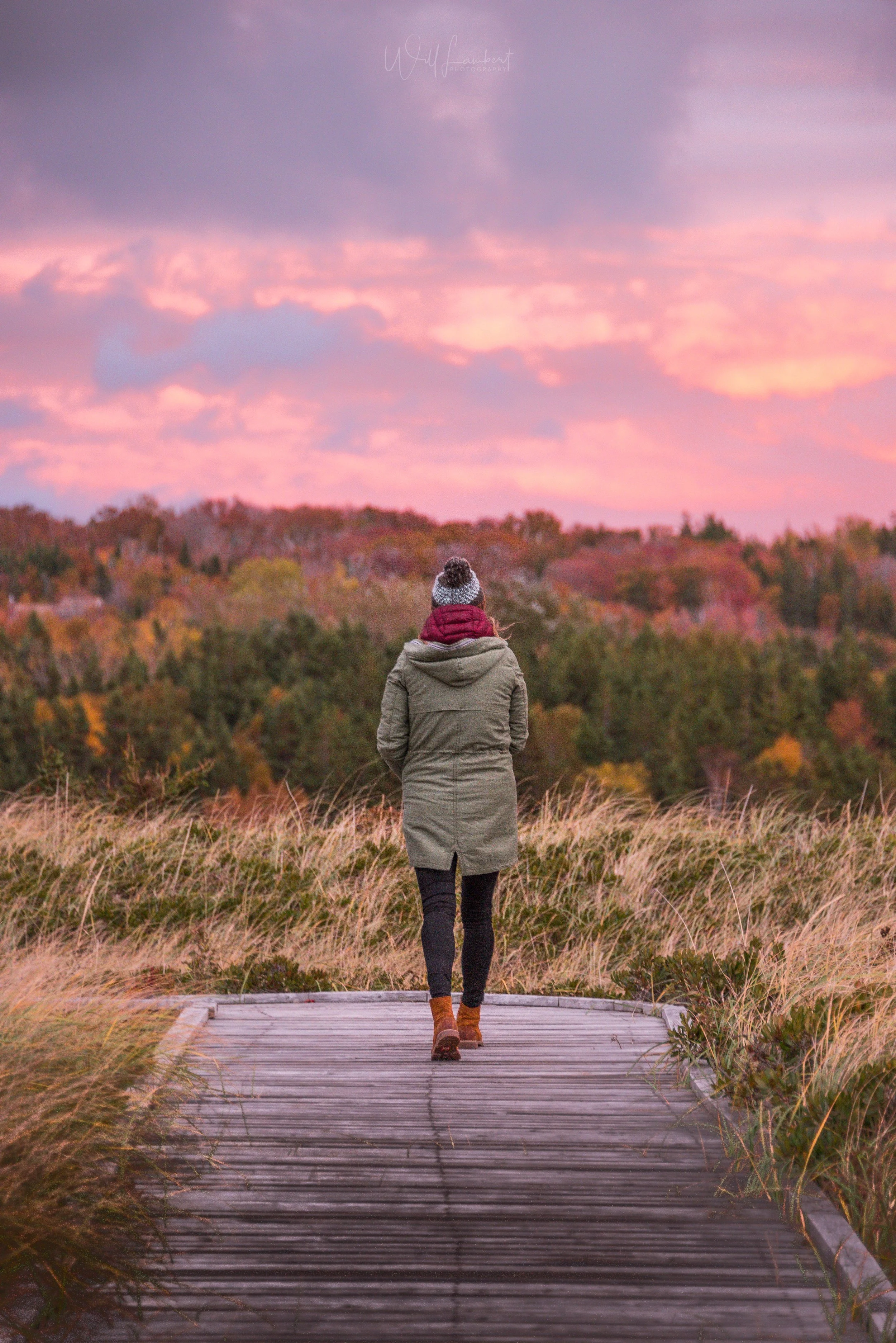 Road Tripping Nova Scotia & Cape Breton — Will Lambert Photography