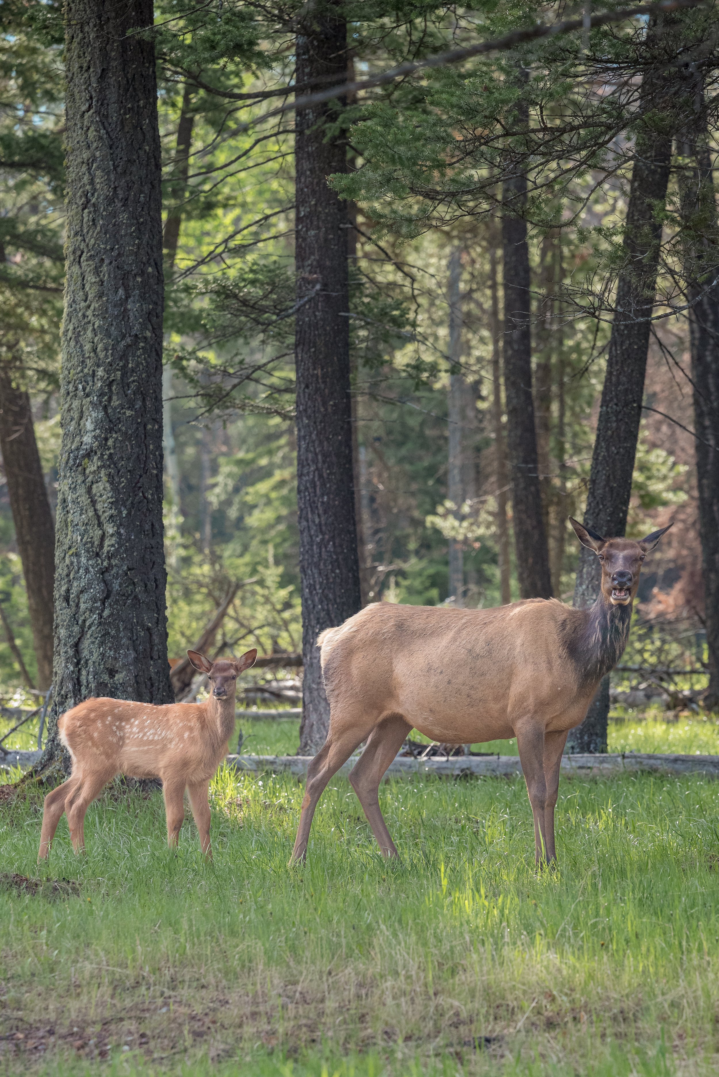 Parks Canada - AIS-2371.jpg