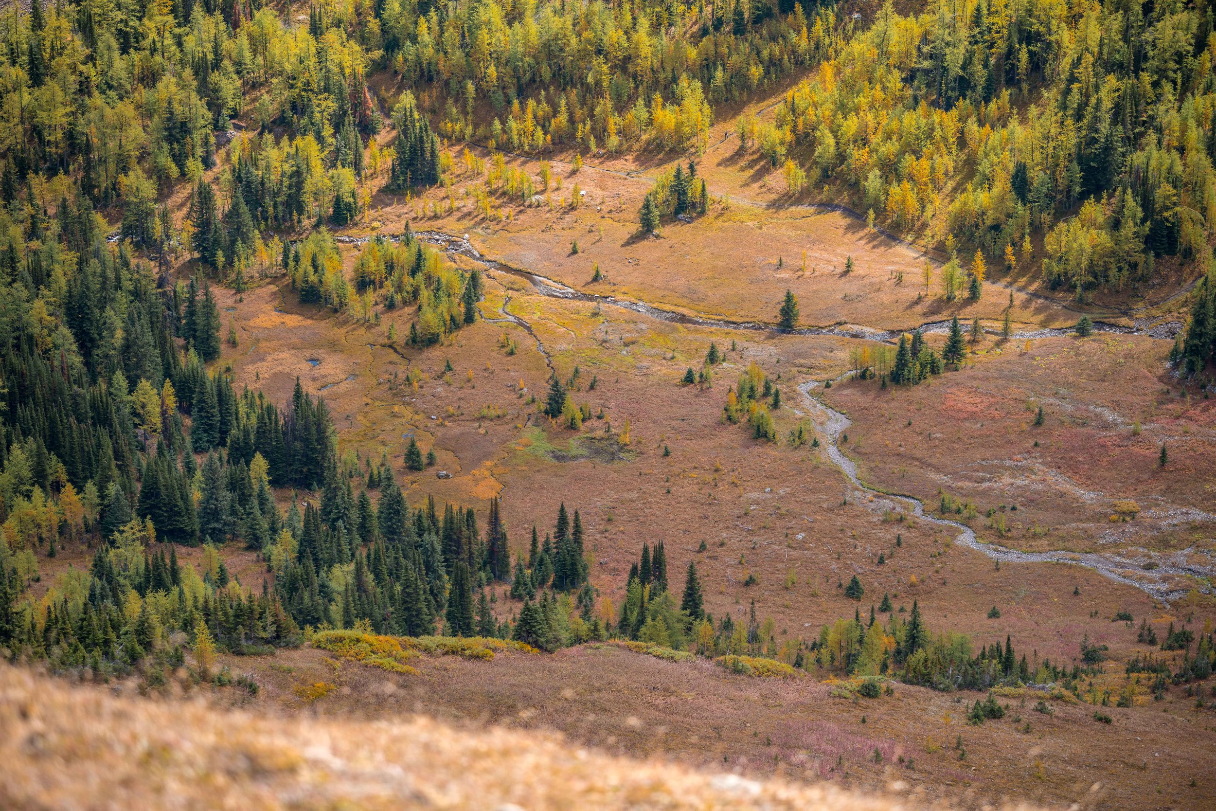 Pocaterra Cirque