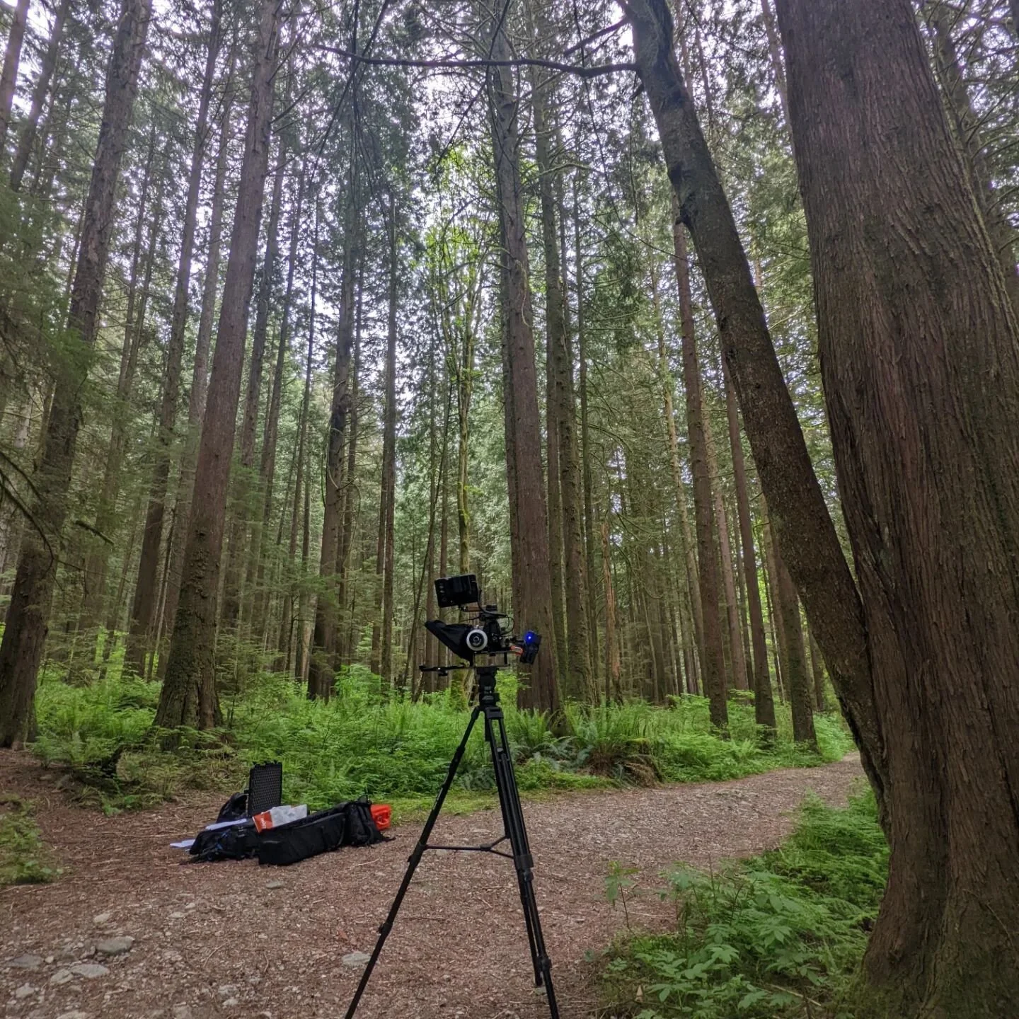 The office today

#filming