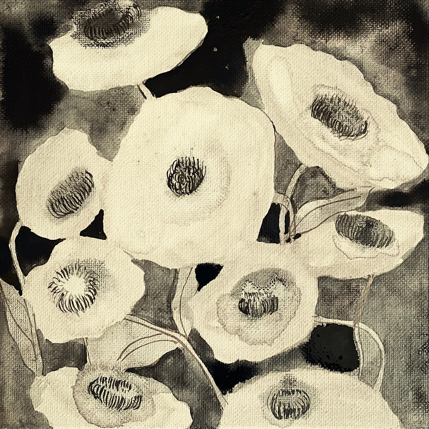 monochrome_poppies.jpg
