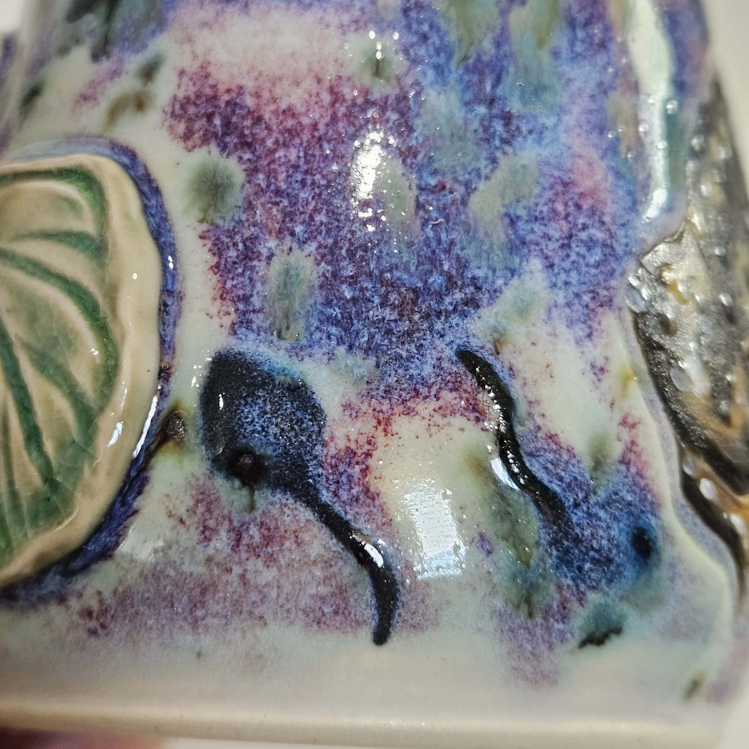 20260828_121301.jpg