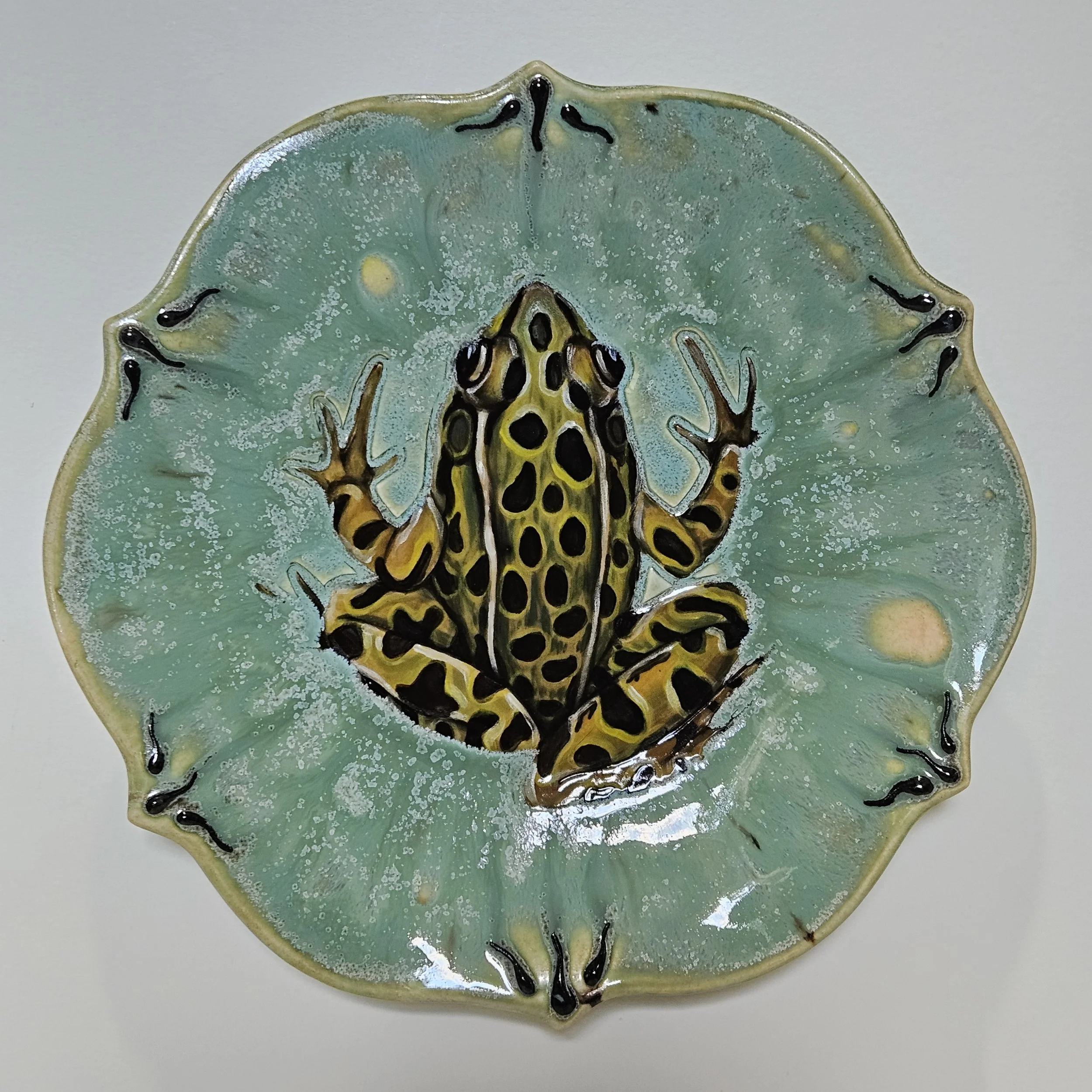21. Leopard Frog Plate