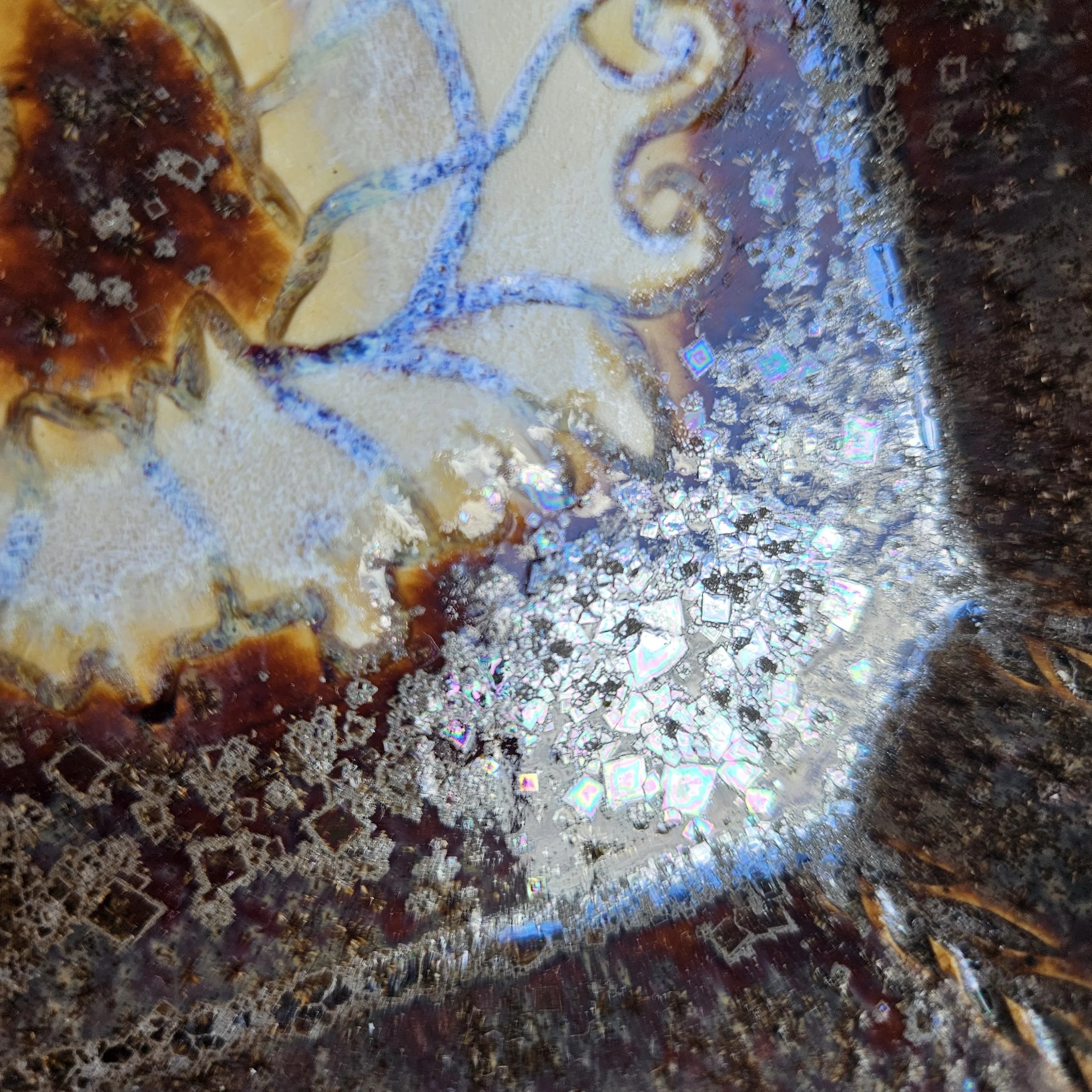 20260910_115623.jpg